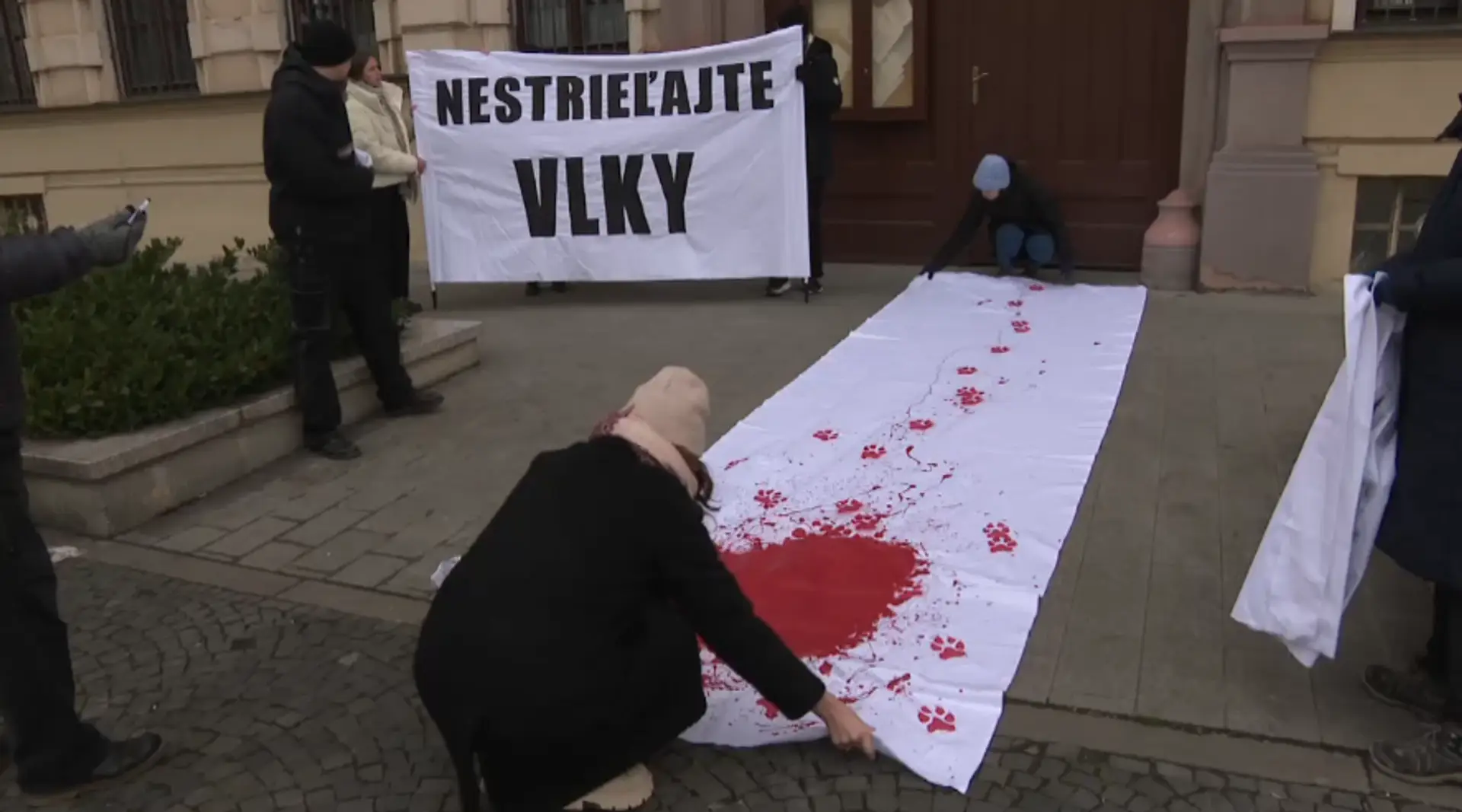 Na snímke transparent, ktorý rozprestreli ochranári pred budovou ministerstva životného prostredia proti strieľaniu vlkov.