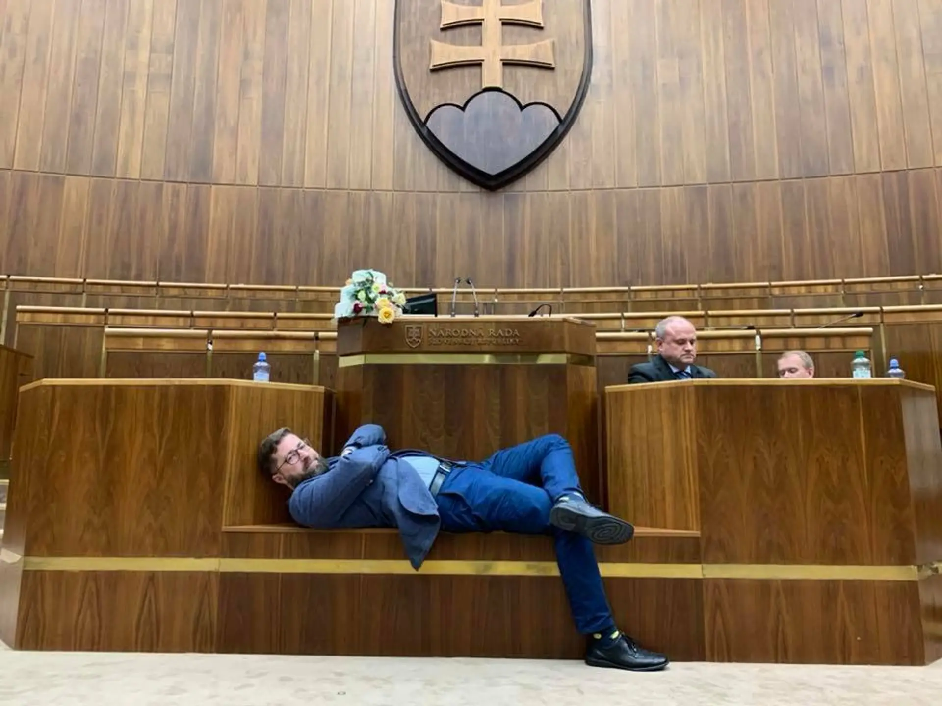 Dve krabice plné šteniat neapolského mastiffa. 
