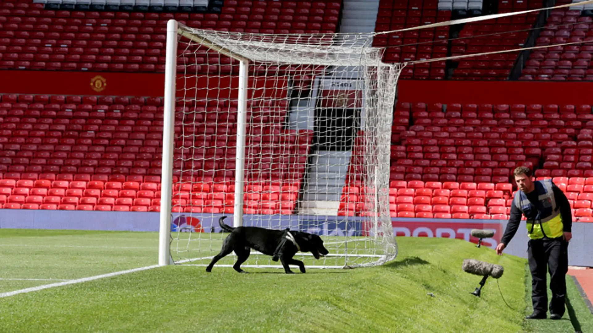Policajt so psom prehľadáva ihrisko Old Trafford.