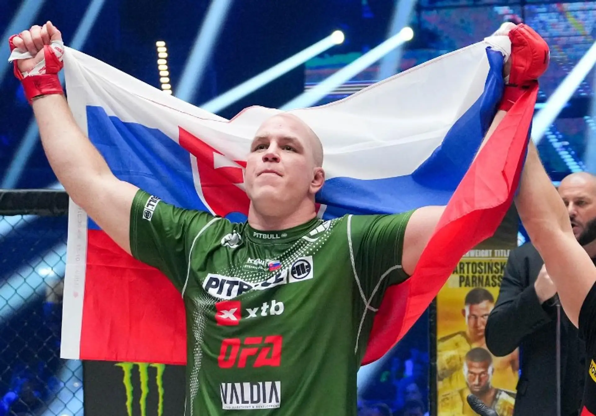 Štefan Vojčák