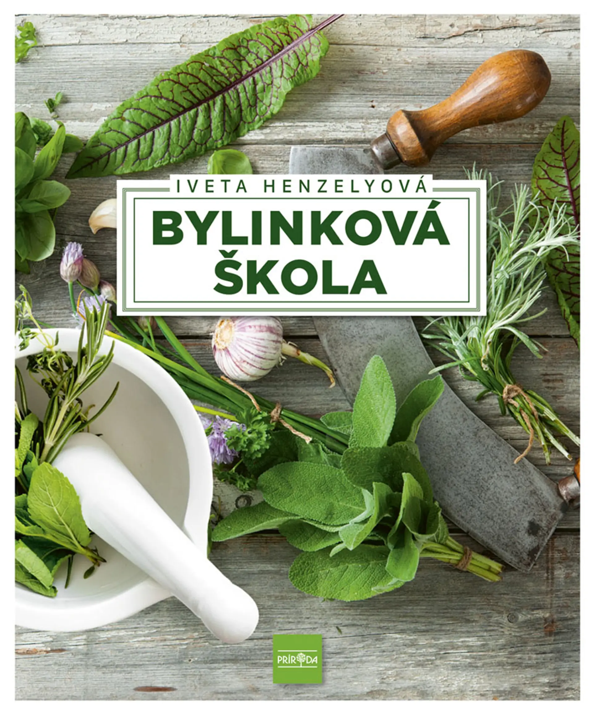 Obálka knihy.
