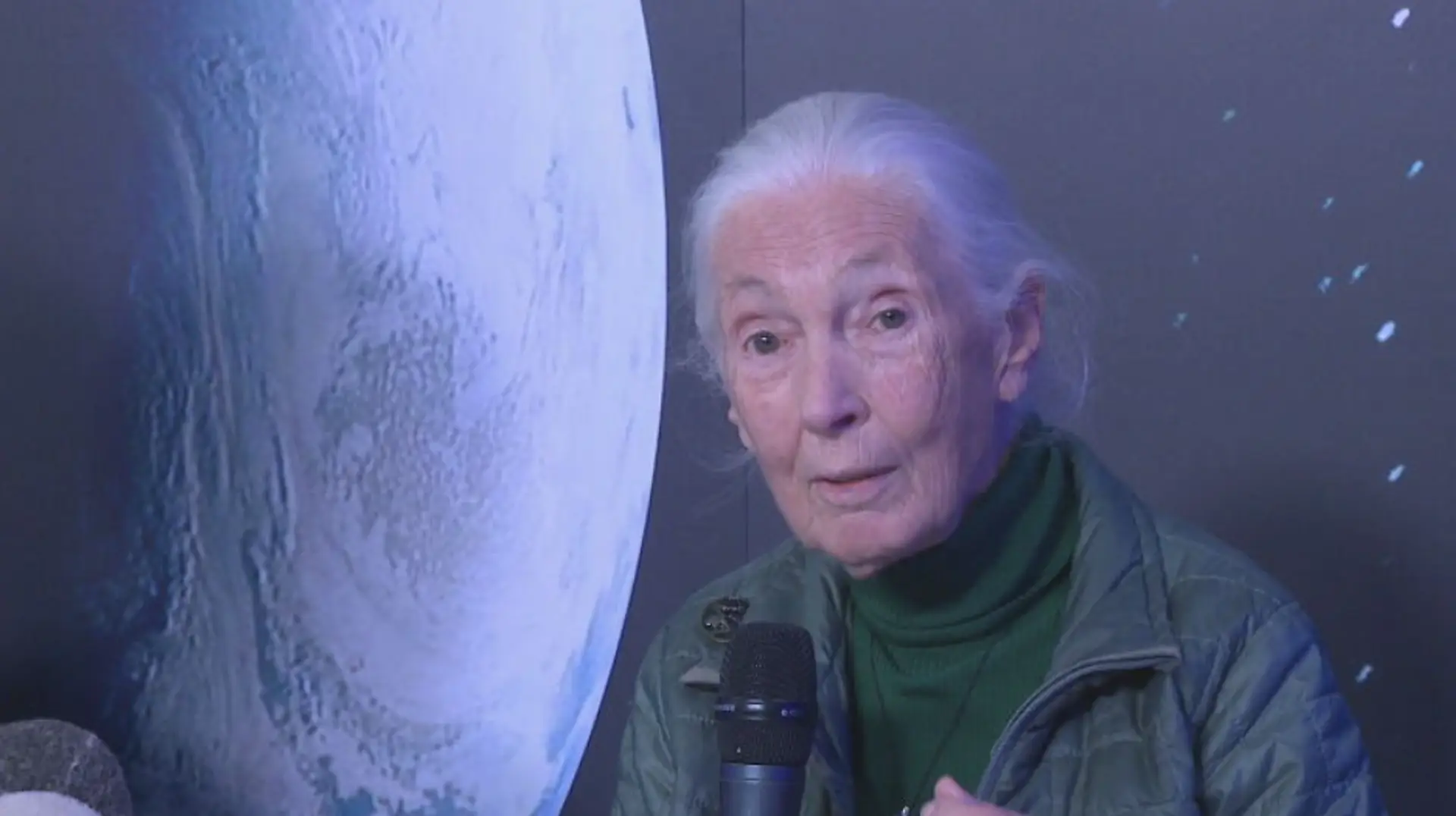 Jane Goodall