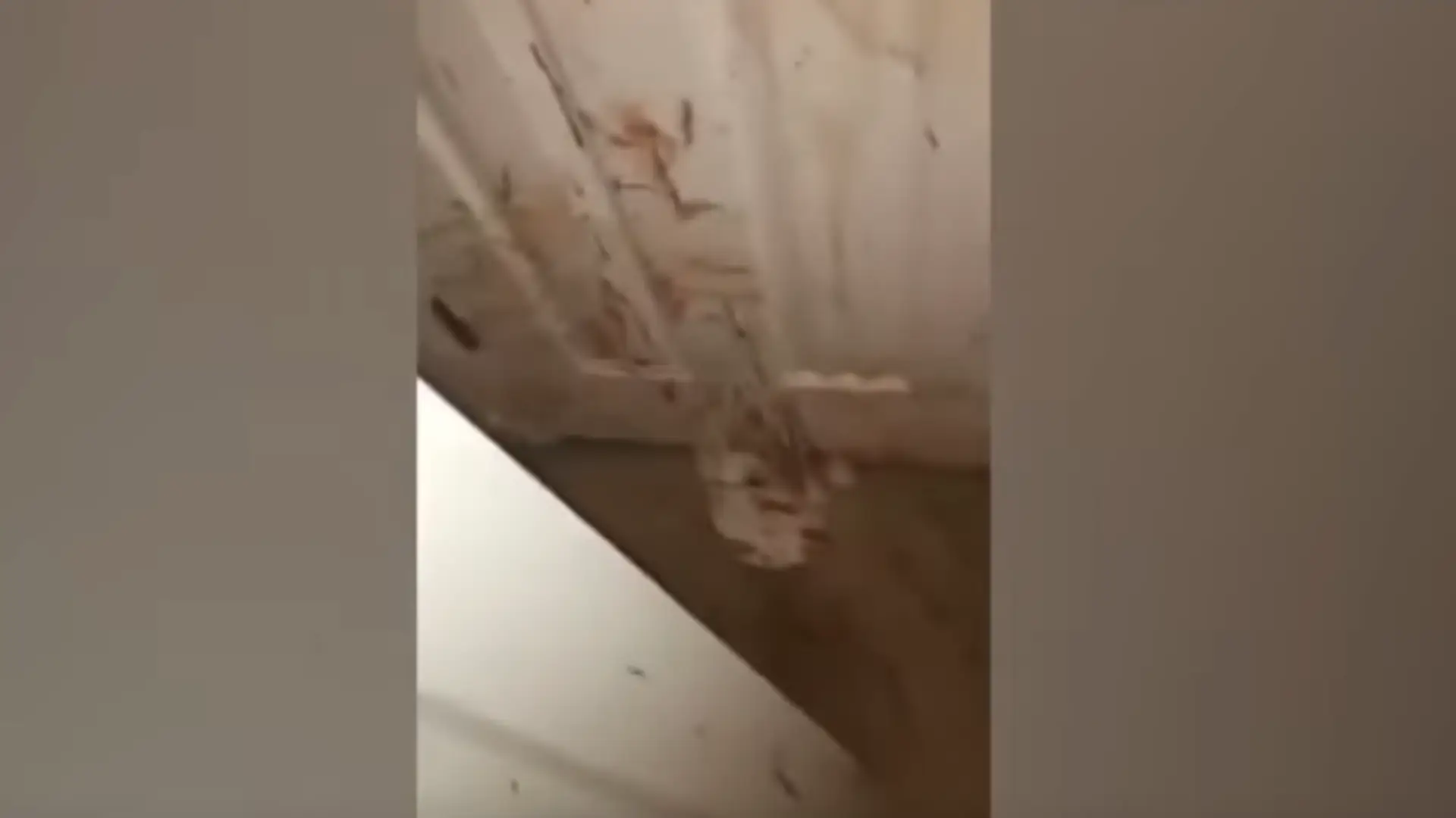 Krv bola všade. 