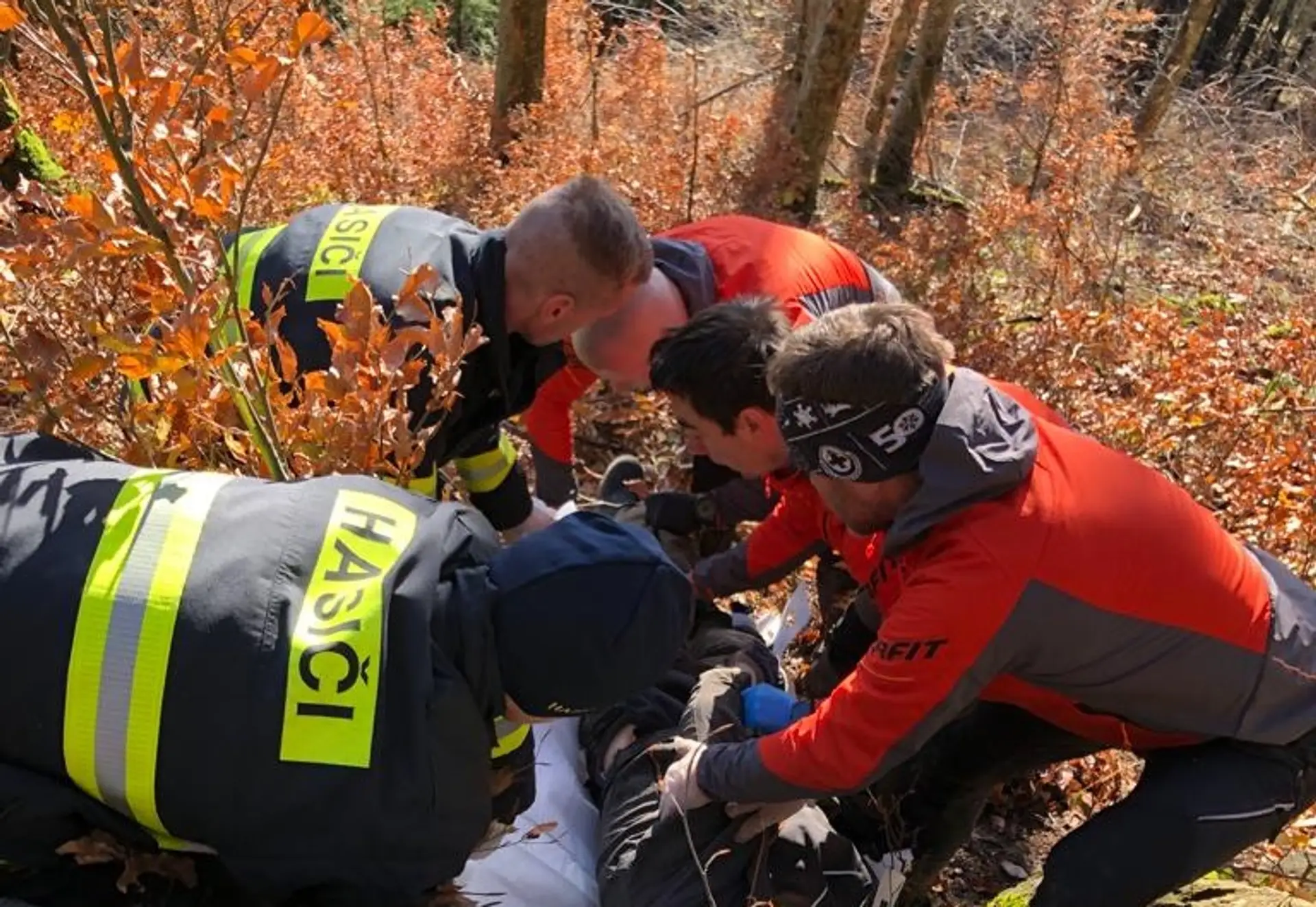 Lesného robotníka, ktorého privalil strom, nezachránili