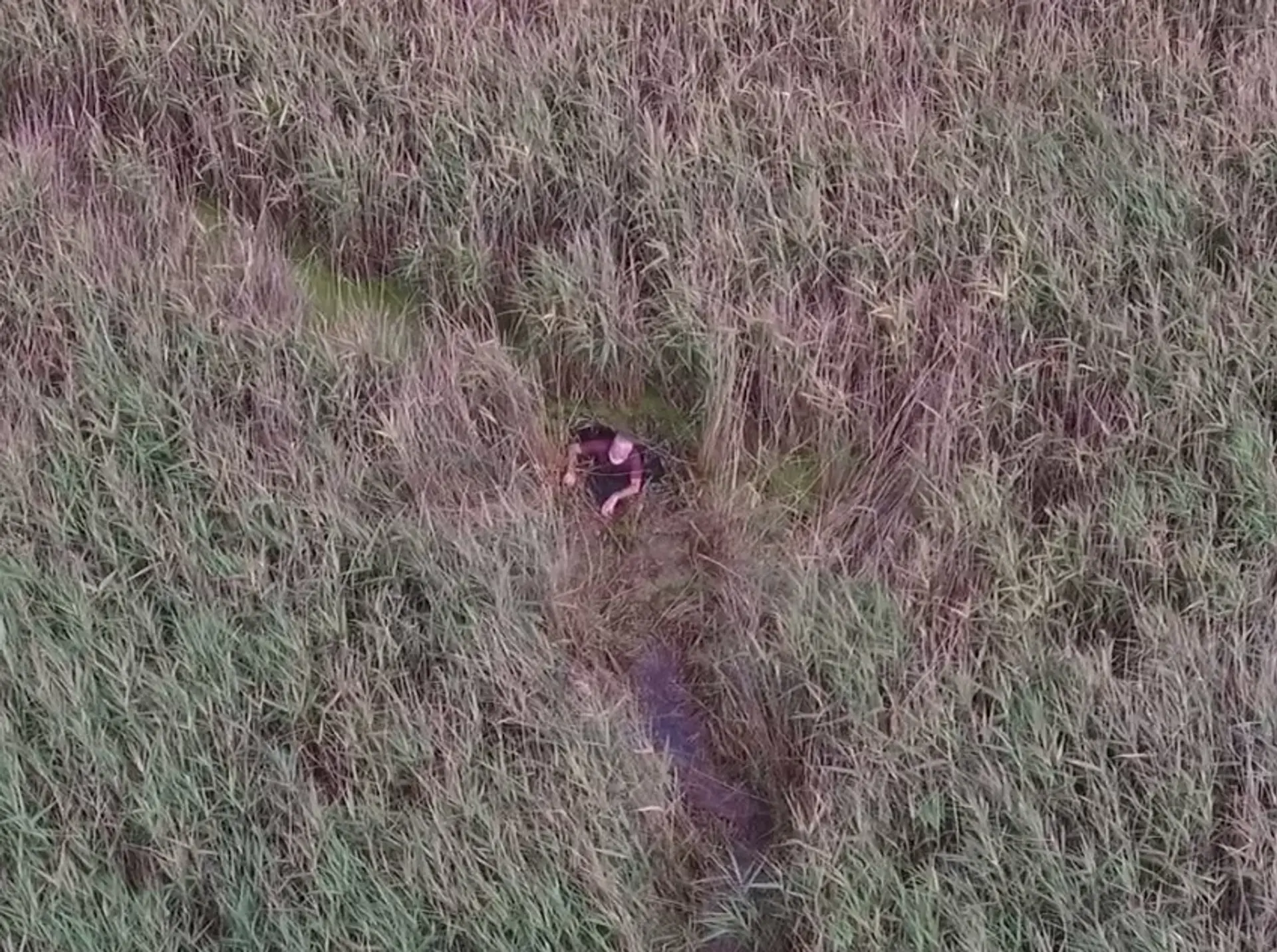 Nezvestného muža našiel dron uviaznutého v močiari