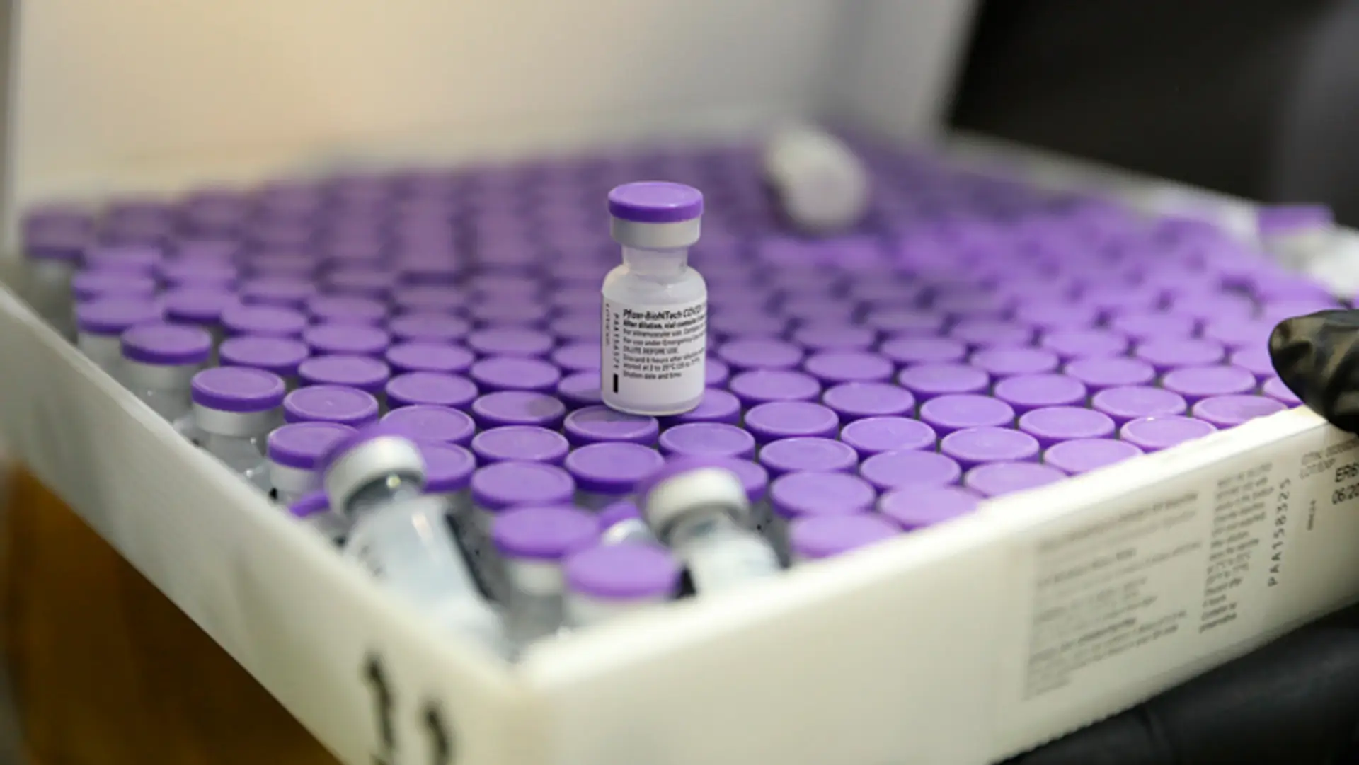 Ampulky s vakcínami od konzorcia Pfizer-BioNtech.