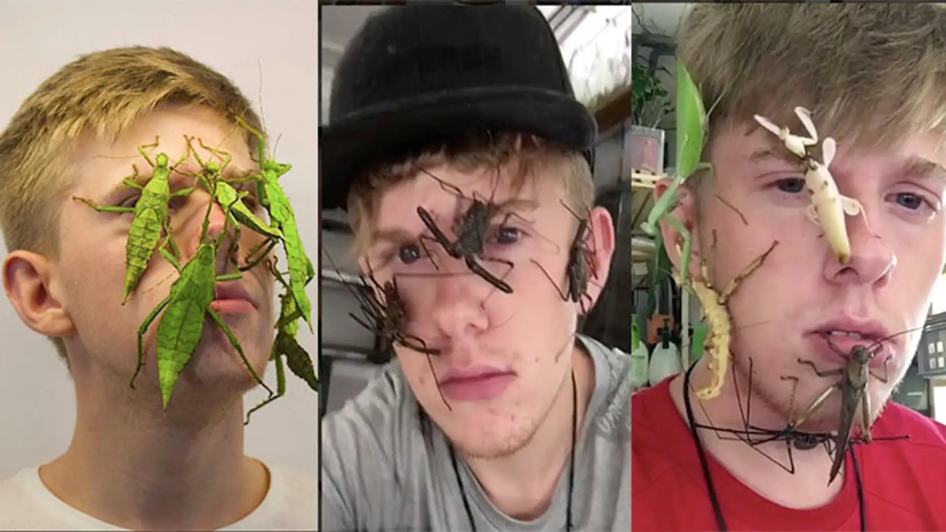 Adrian sa veľkého hmyzu vôbec nebojí.