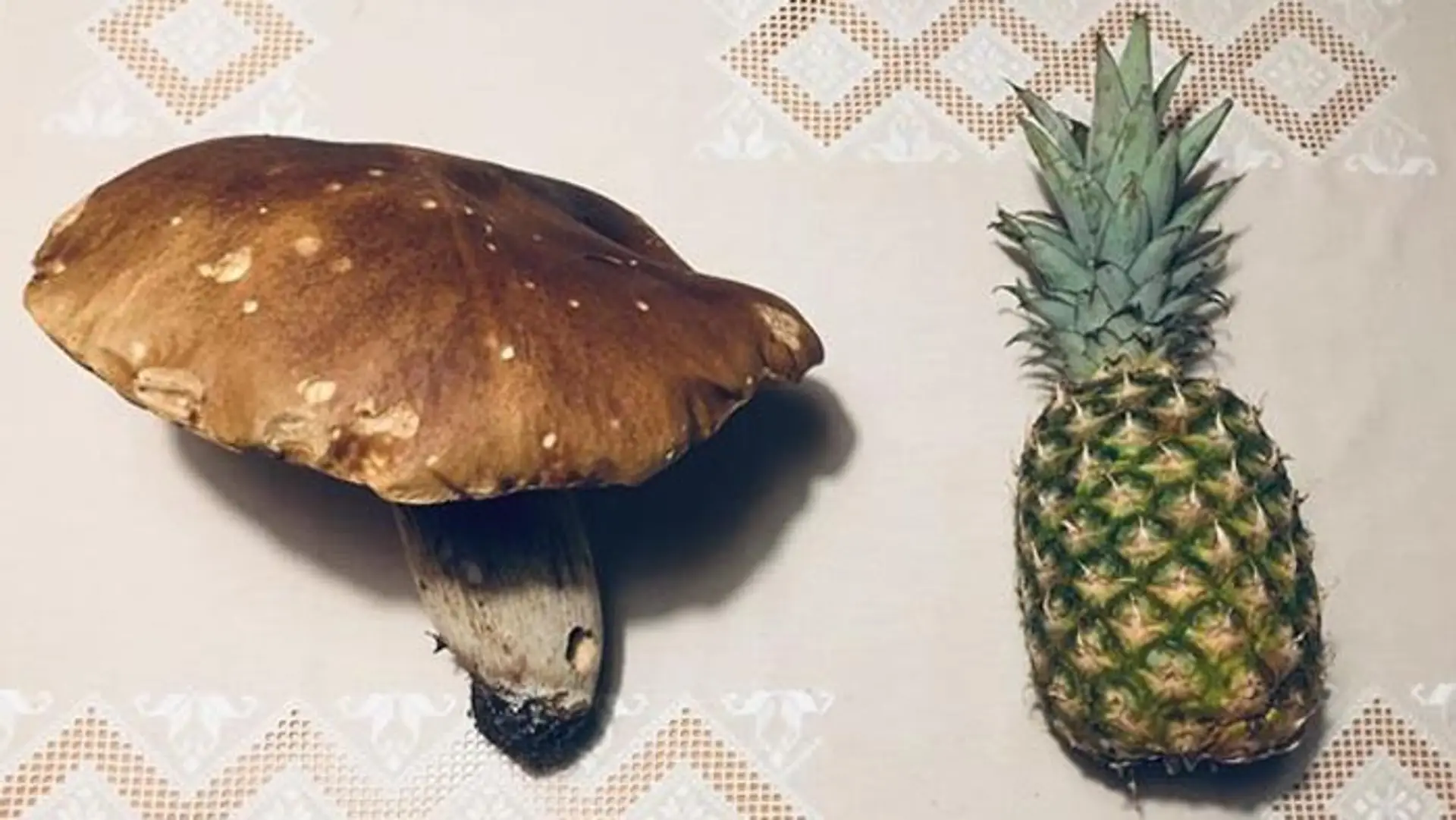 Autorka a krstný otec knihy.