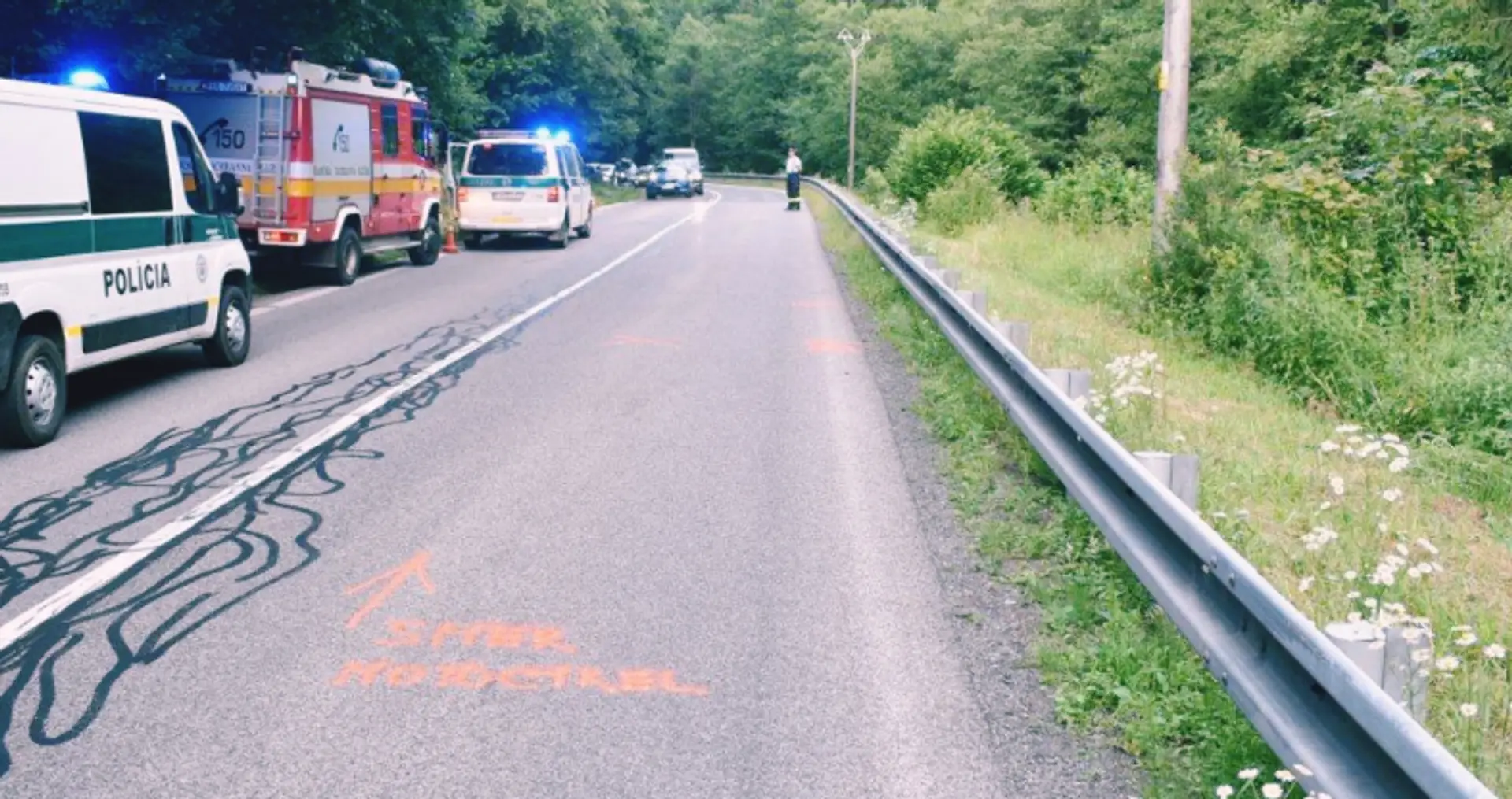 Na snímke úsek cesty, kde sa zrazil motocyklista s medveďom.
