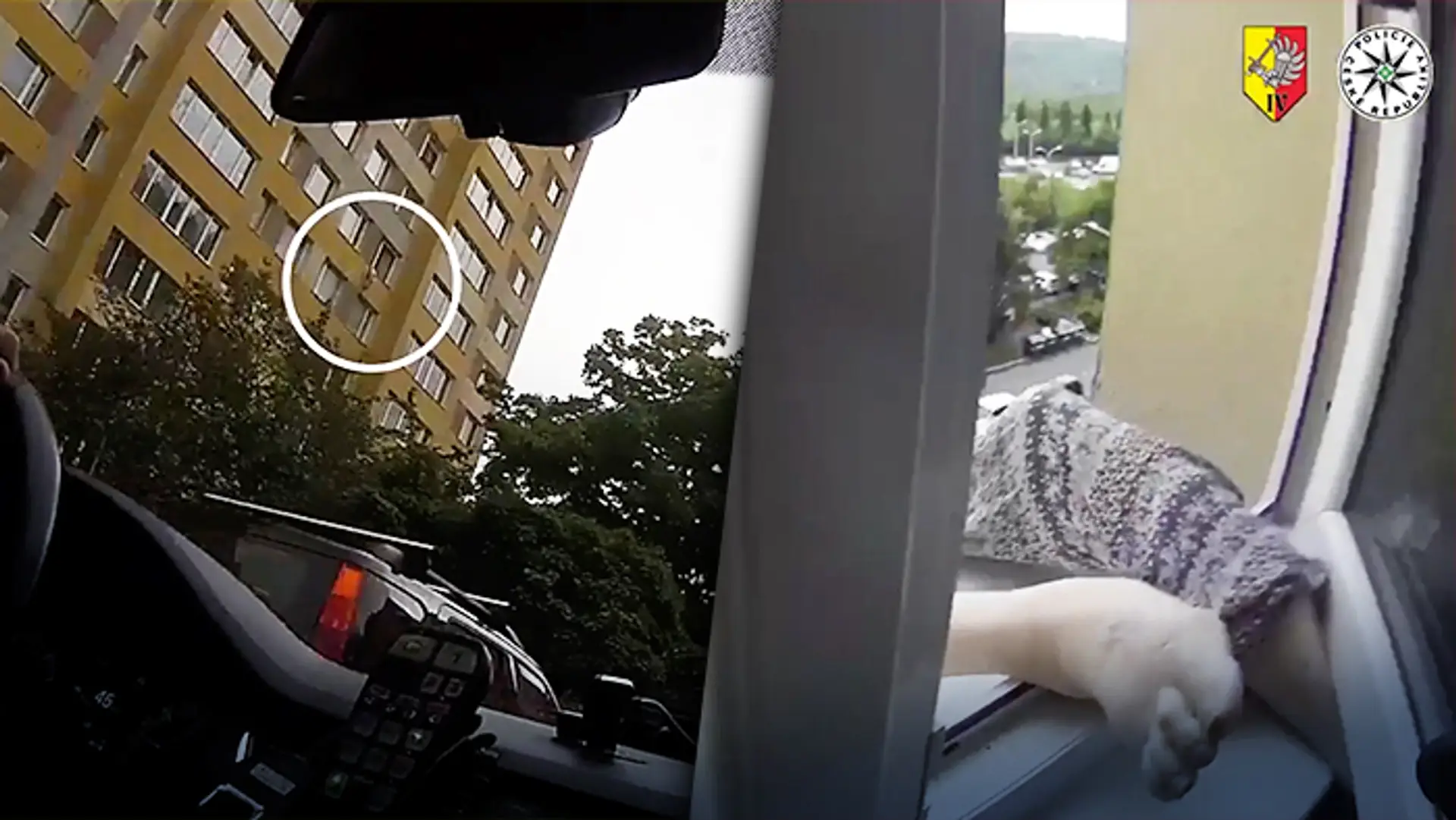Zábery z policajného videa.