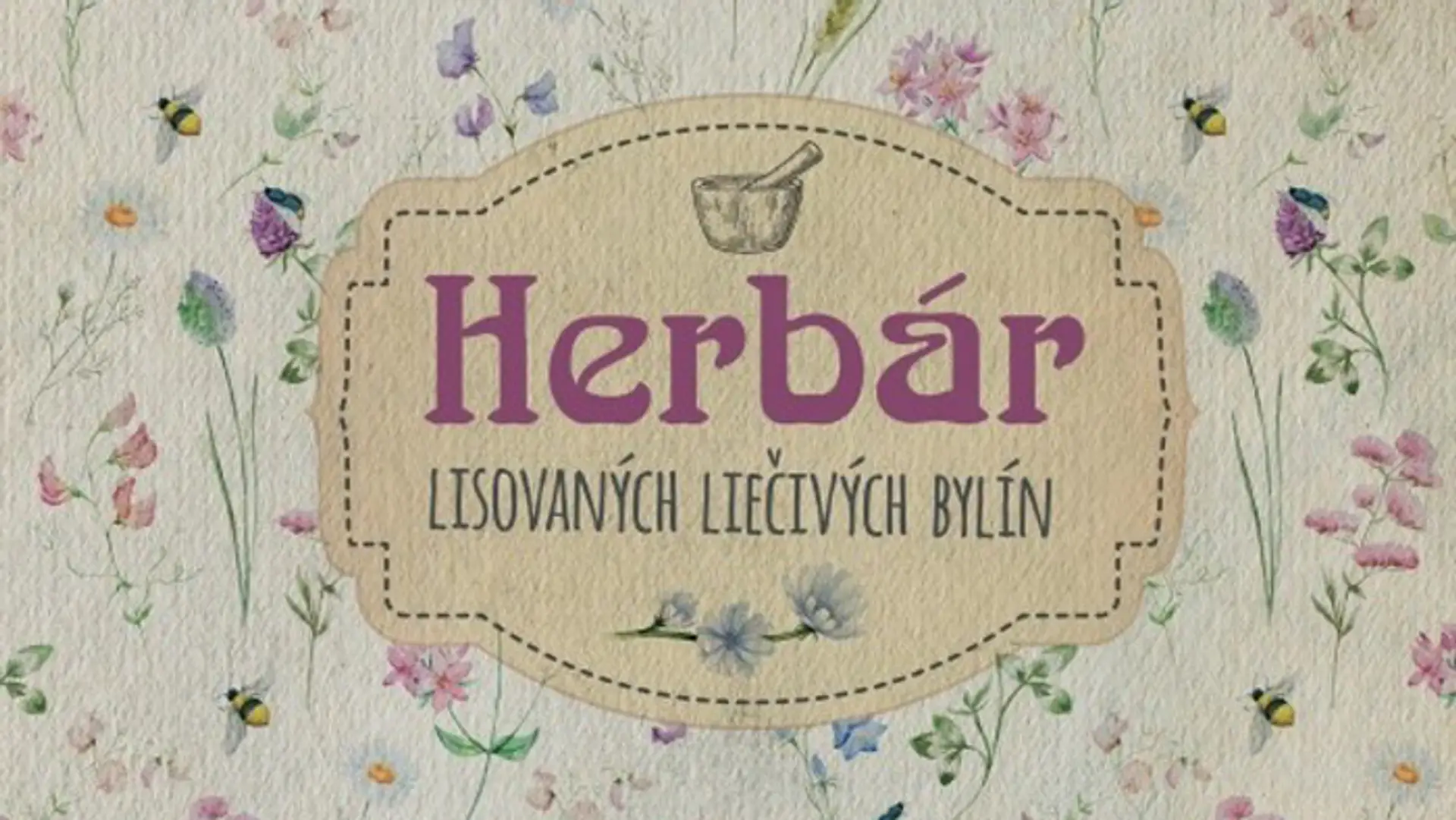 Obálka knihy.