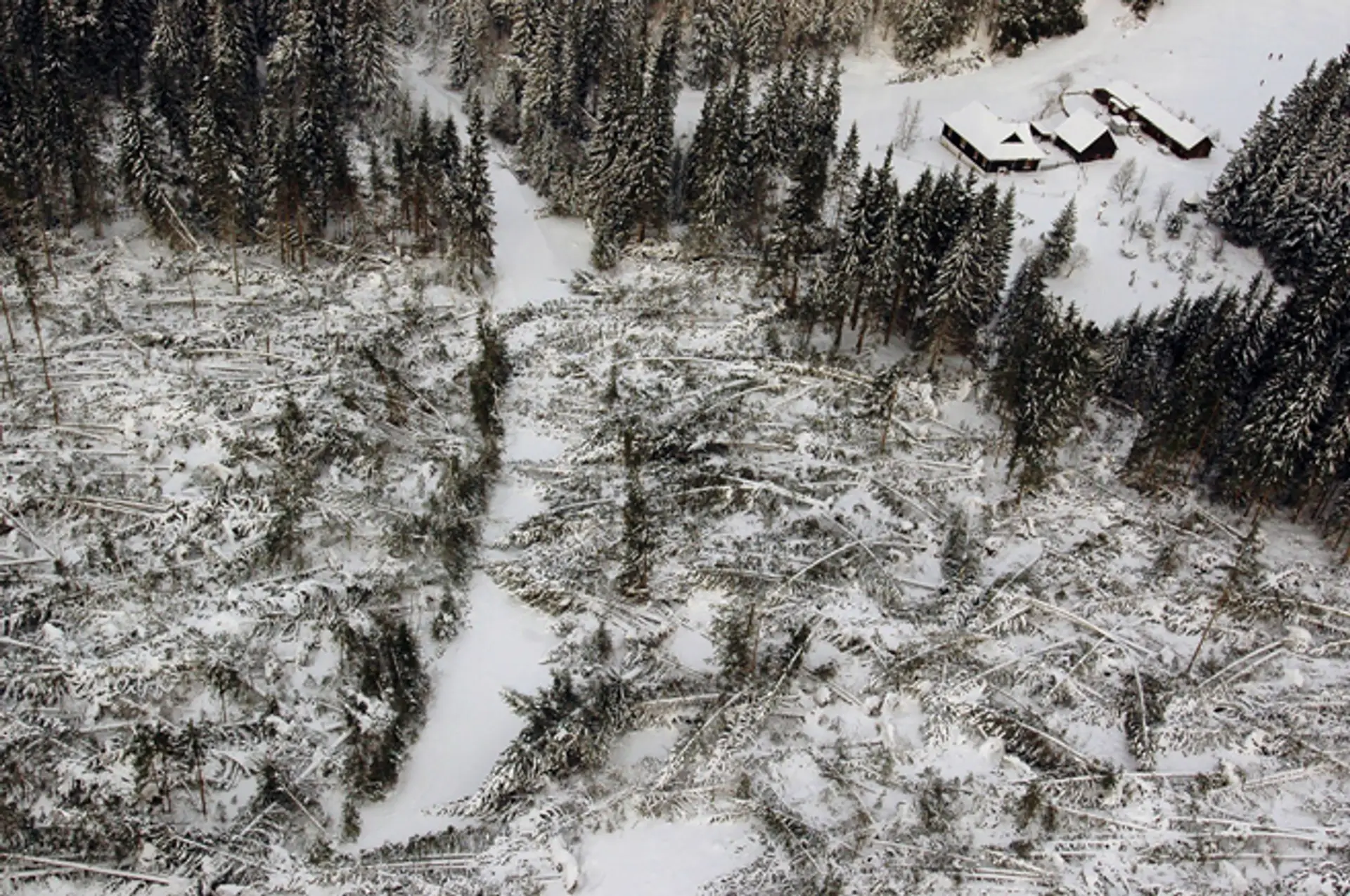 Vysoké Tatry po ničivej víchrici z 19. novembra 2004.