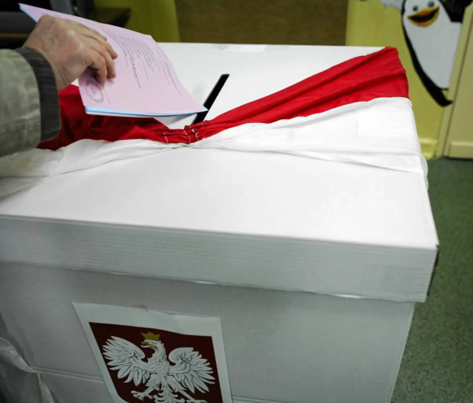 Hlasovacia urna v poľských komunálnych voľbách.