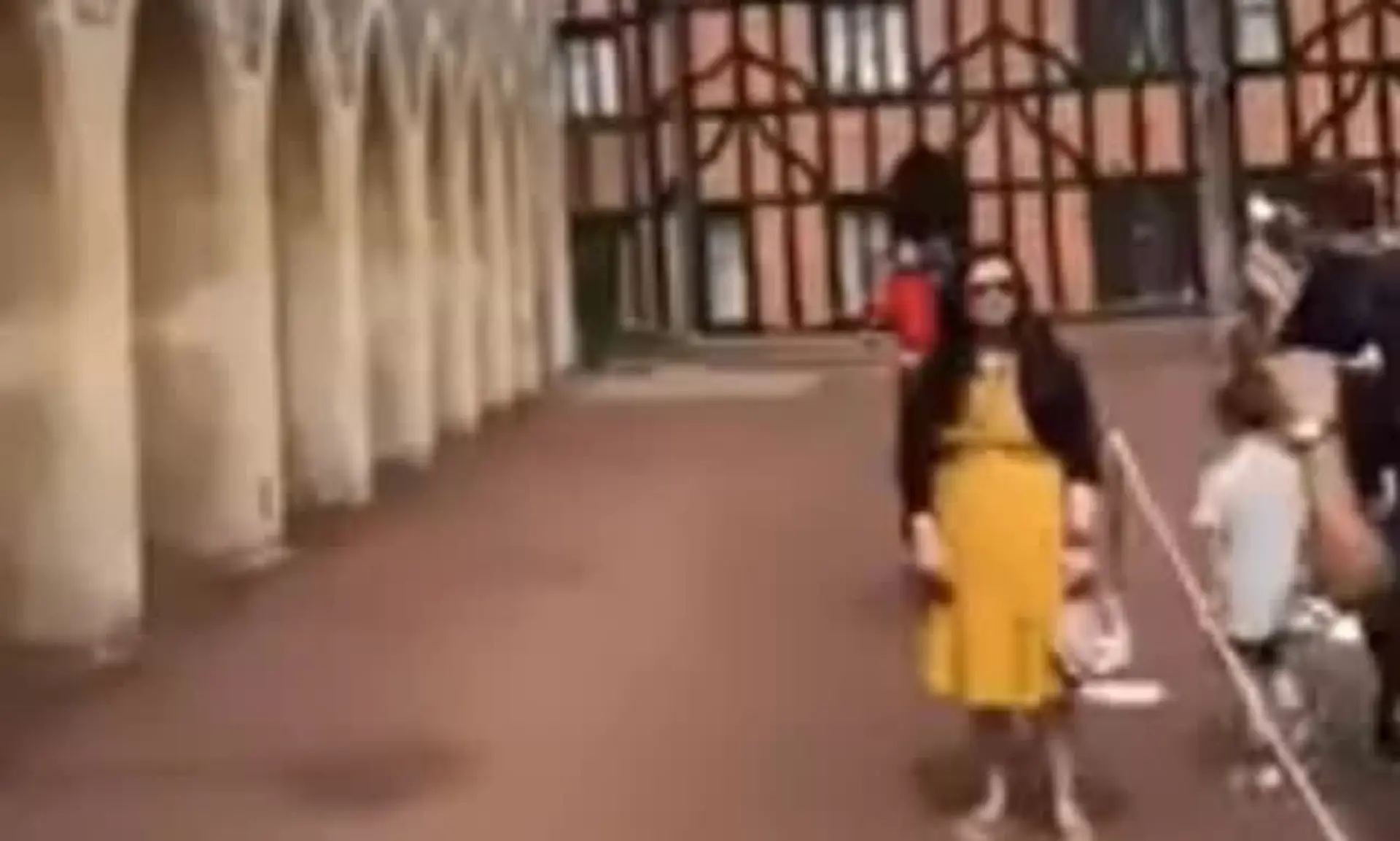 Kráľovský strážca odsotil turistku