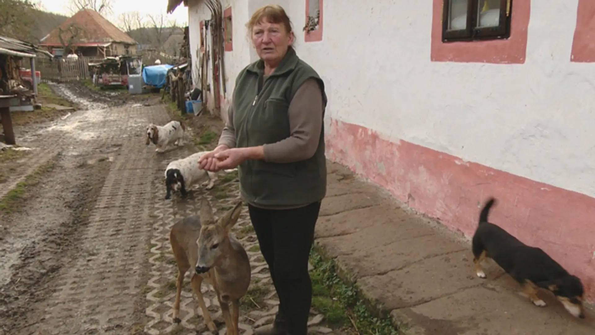 Marta Dalmadyová – majiteľka gazdovstva.