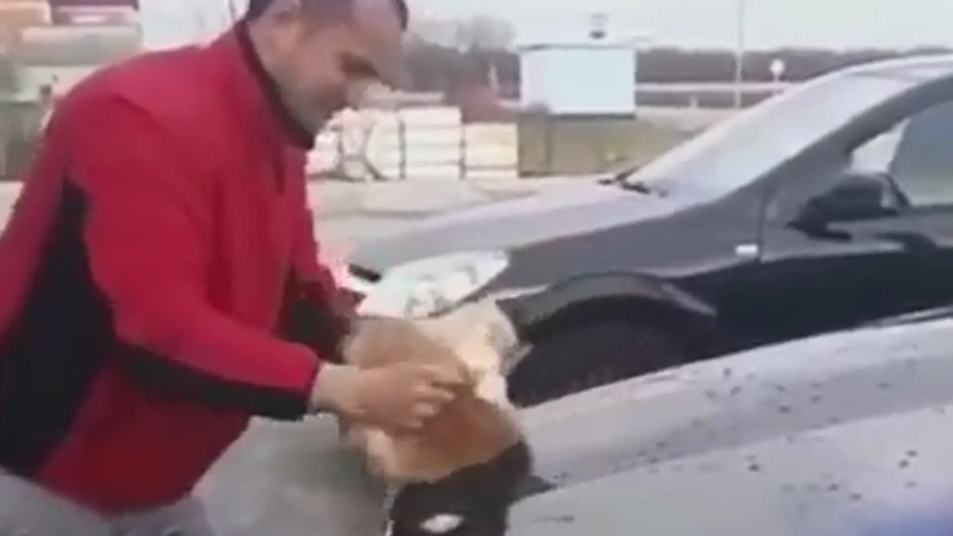 20180207_103216.mp4