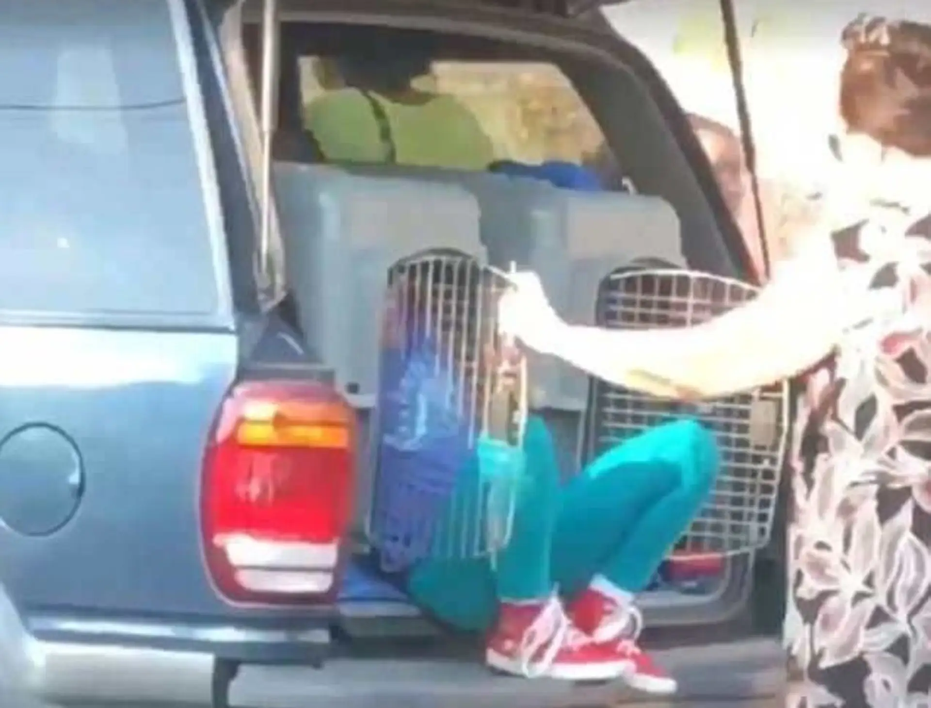 Babka viezla autom vnúčatá zatvorené v psích klietkach