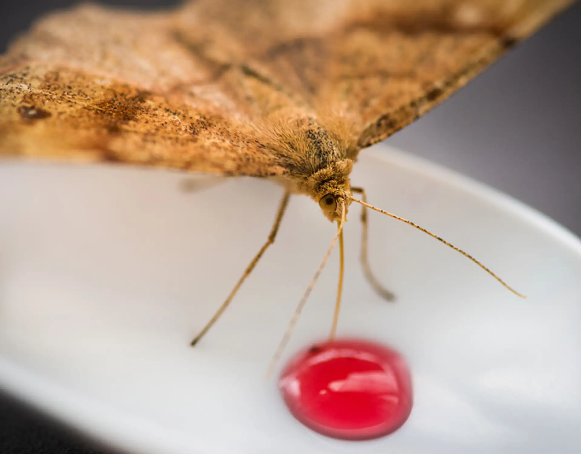 Ilustračná snímka.