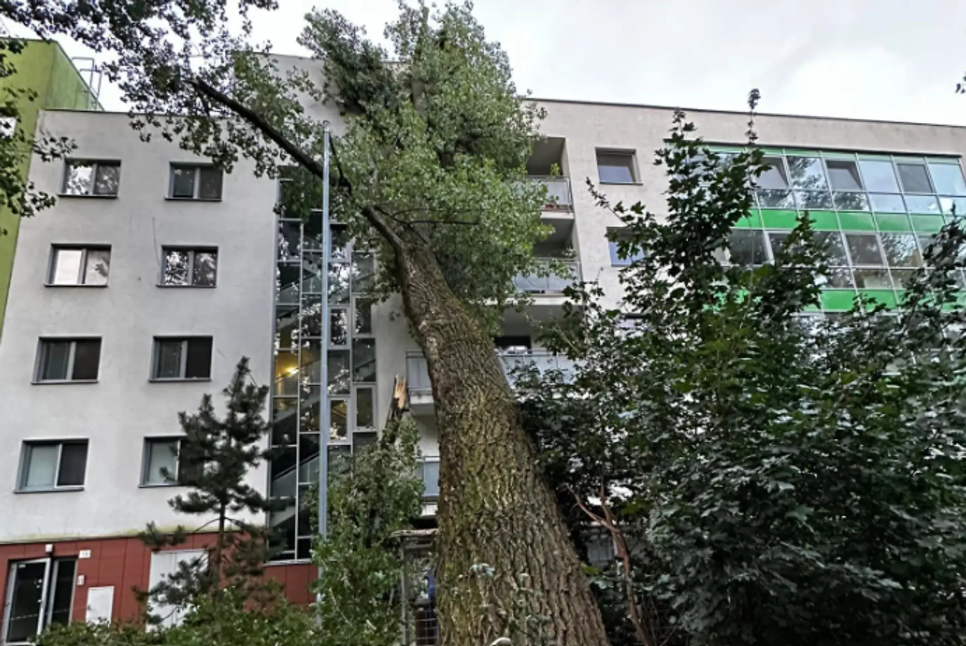 Spadnutý strom poškodil bytovku na ulici Na barine v Bratislave.