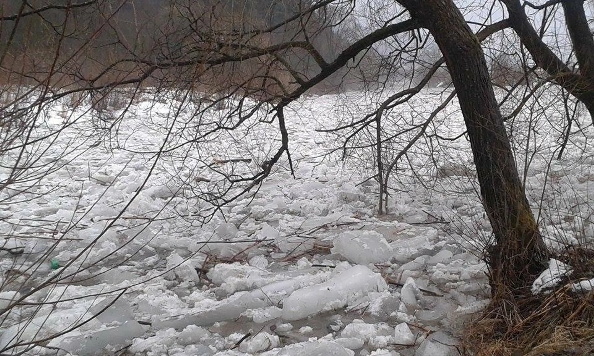 Na rieke Kysuca hrozí ľadová povodeň