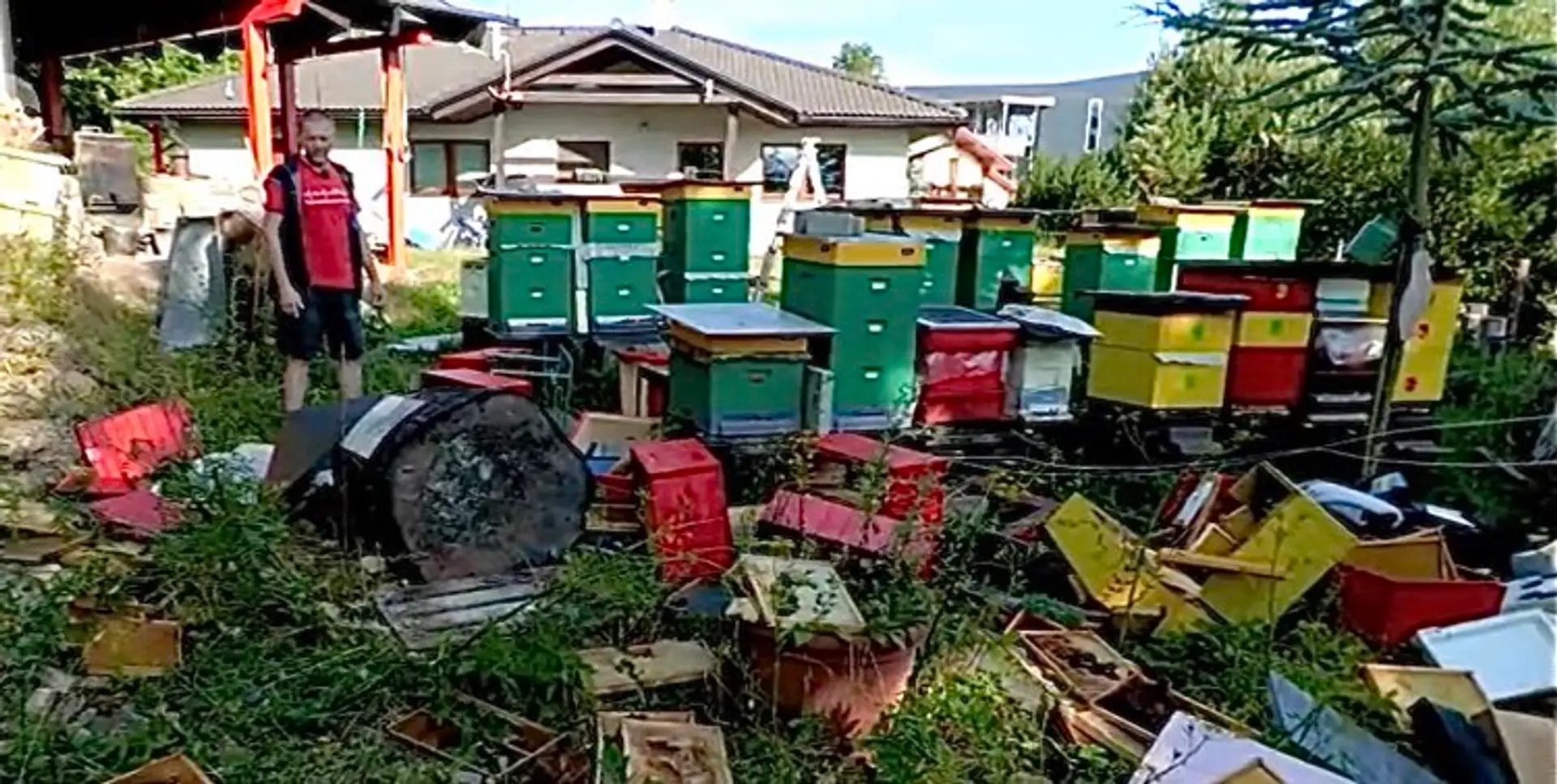Včelárovi z Ružomberka medveď zničil včelnicu. 