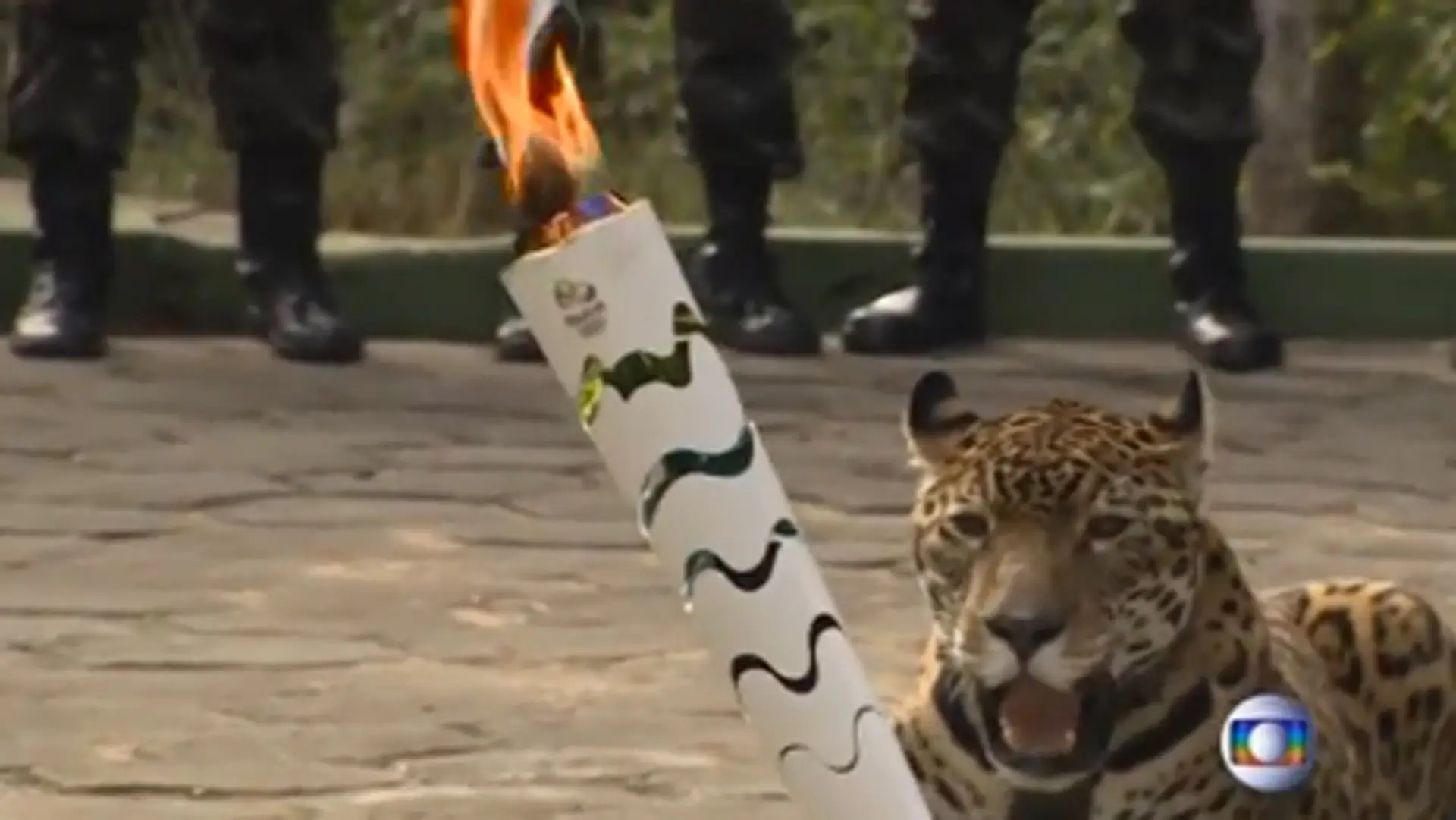 Po slávnosti olympijskej pochodne zastrelili maskota - jaguára.