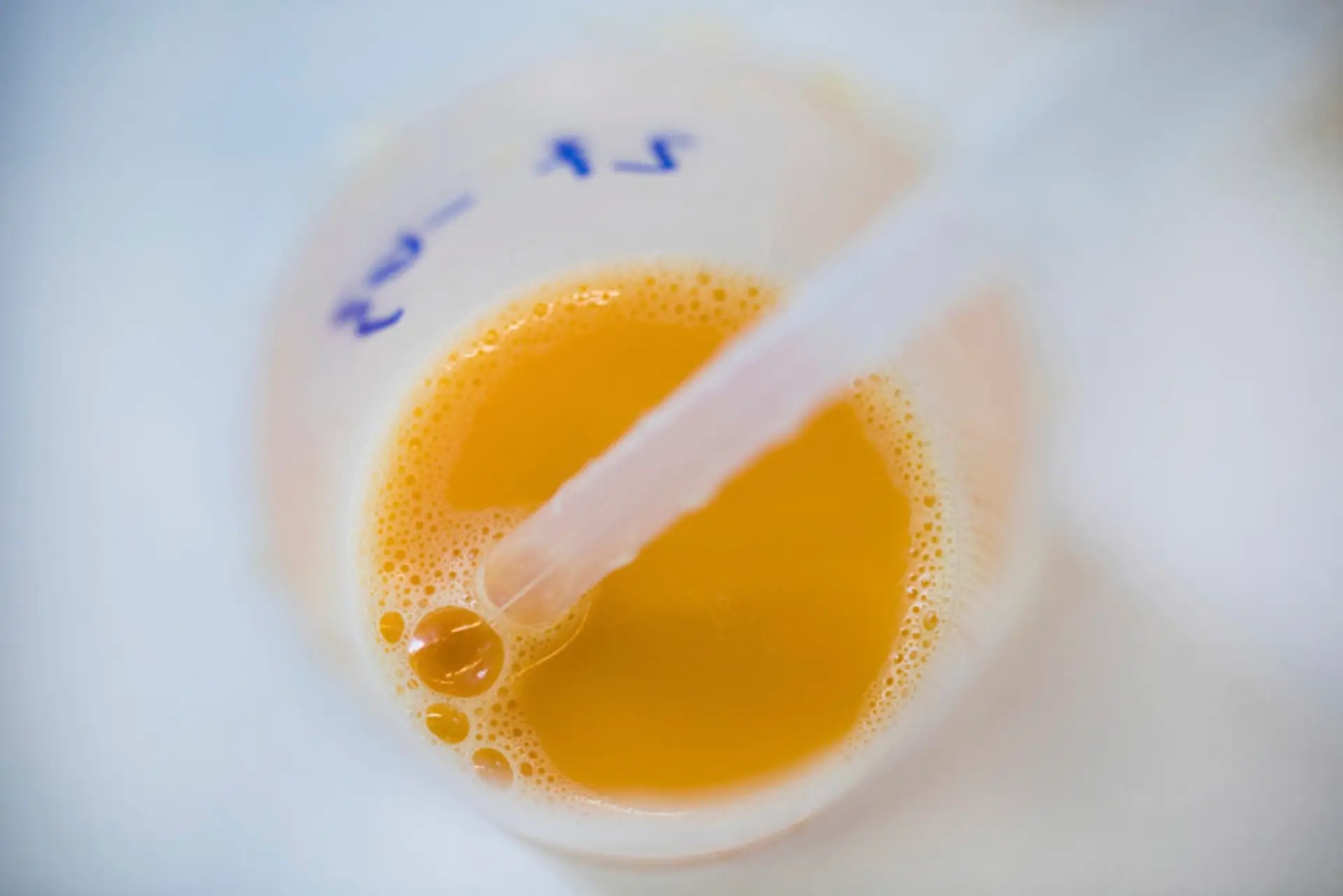Testovanie rozbitého vajca v laboratóriu na Fipronil.