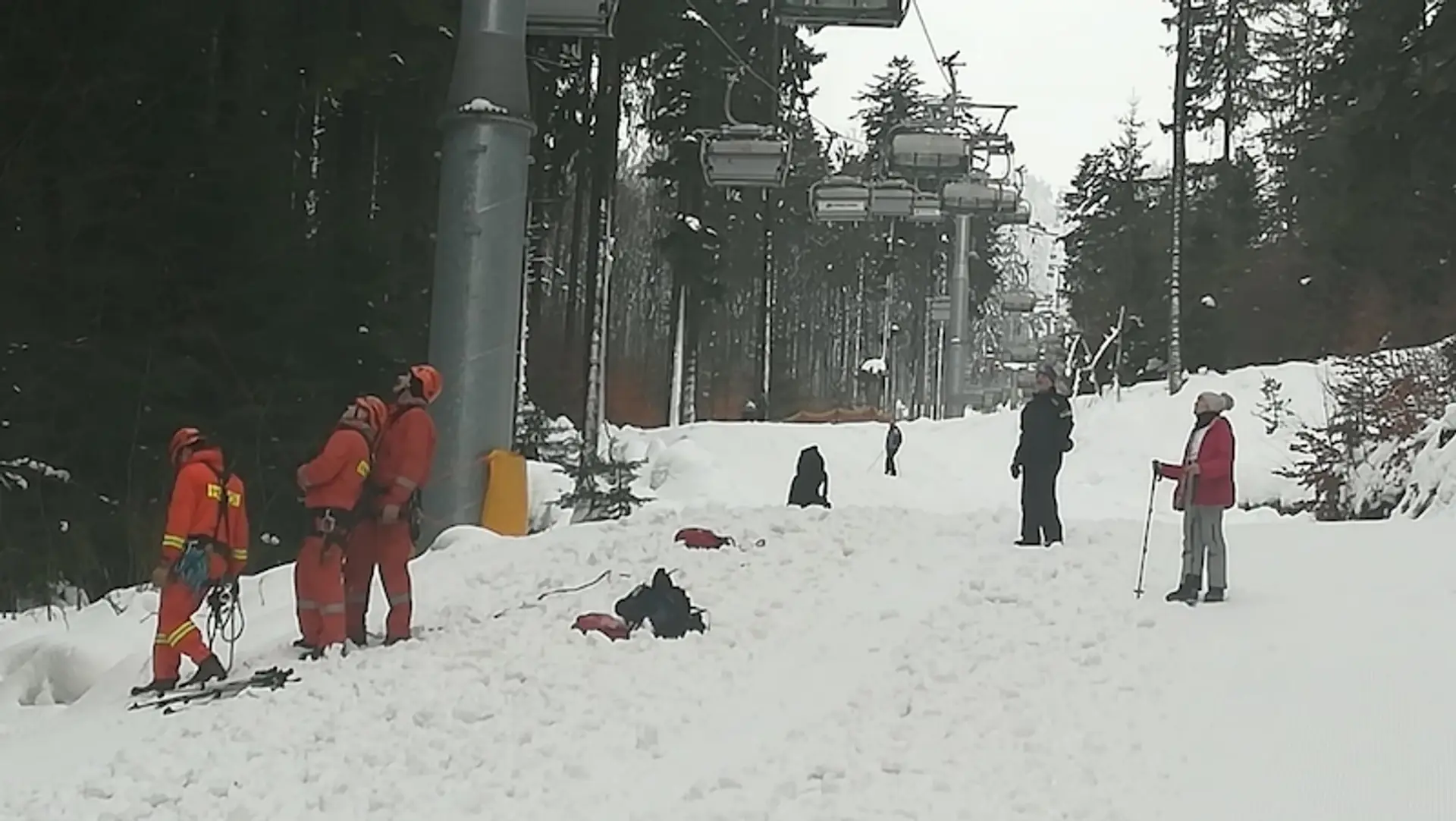 Na lanovku v českej Bukovej hore spadol strom