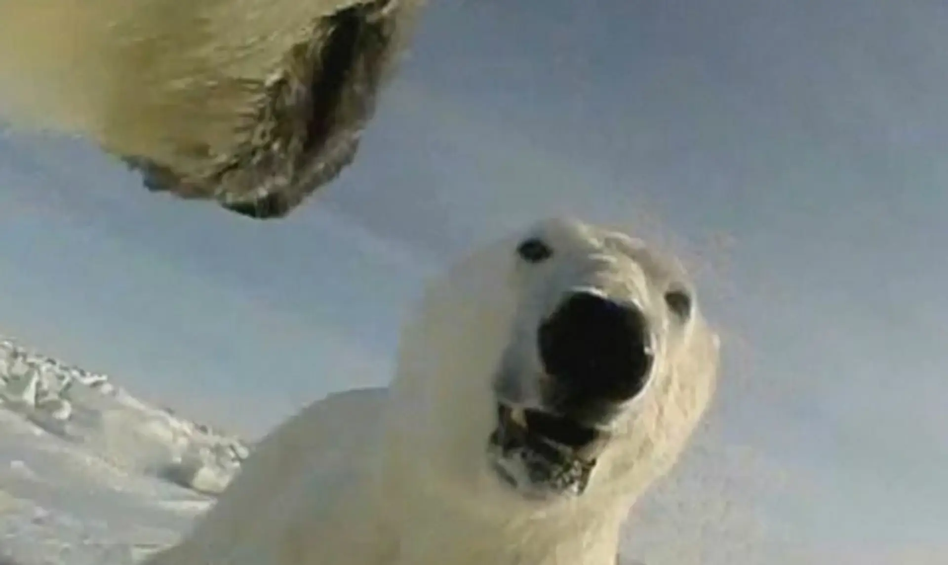 CLOPJXNKHRSE-high_1080p.mp4