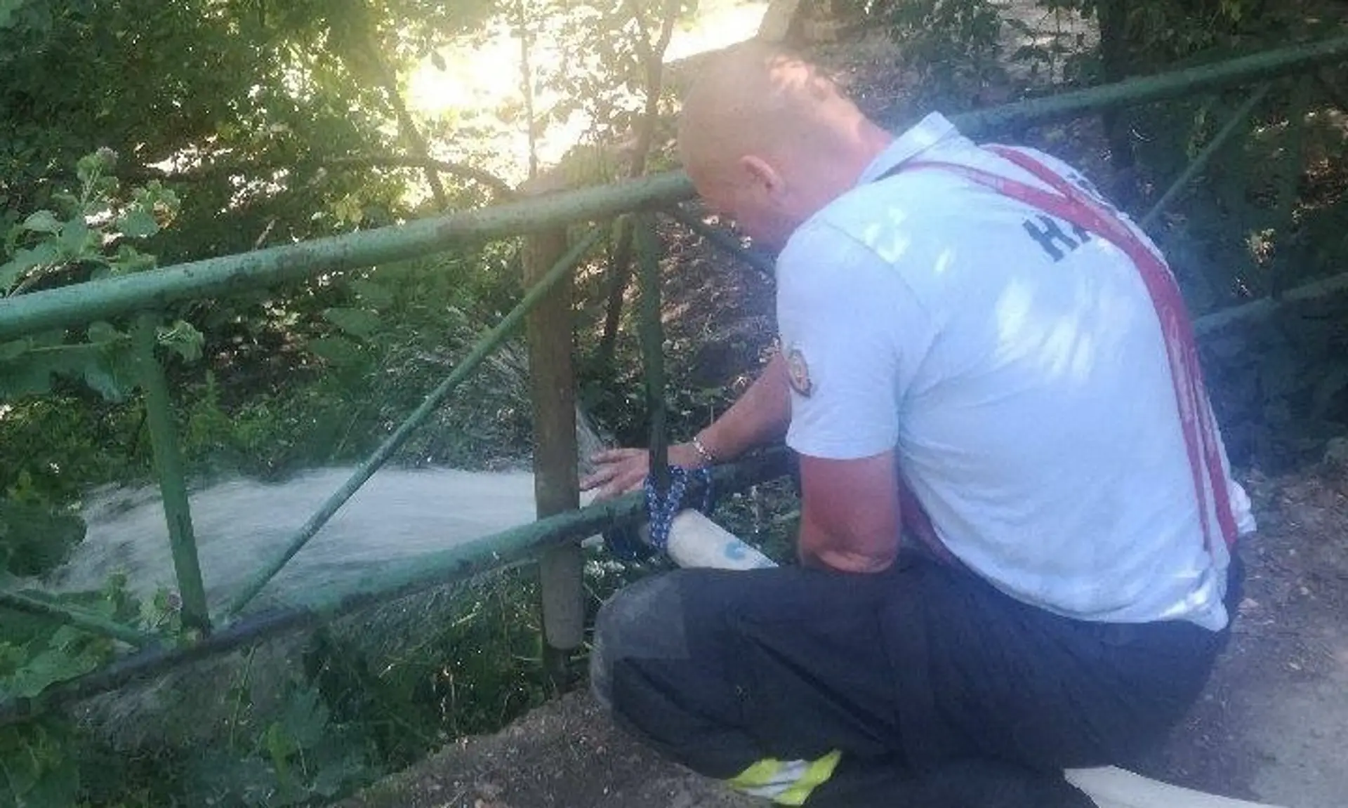 Zvieratá mali nedostatok vody.