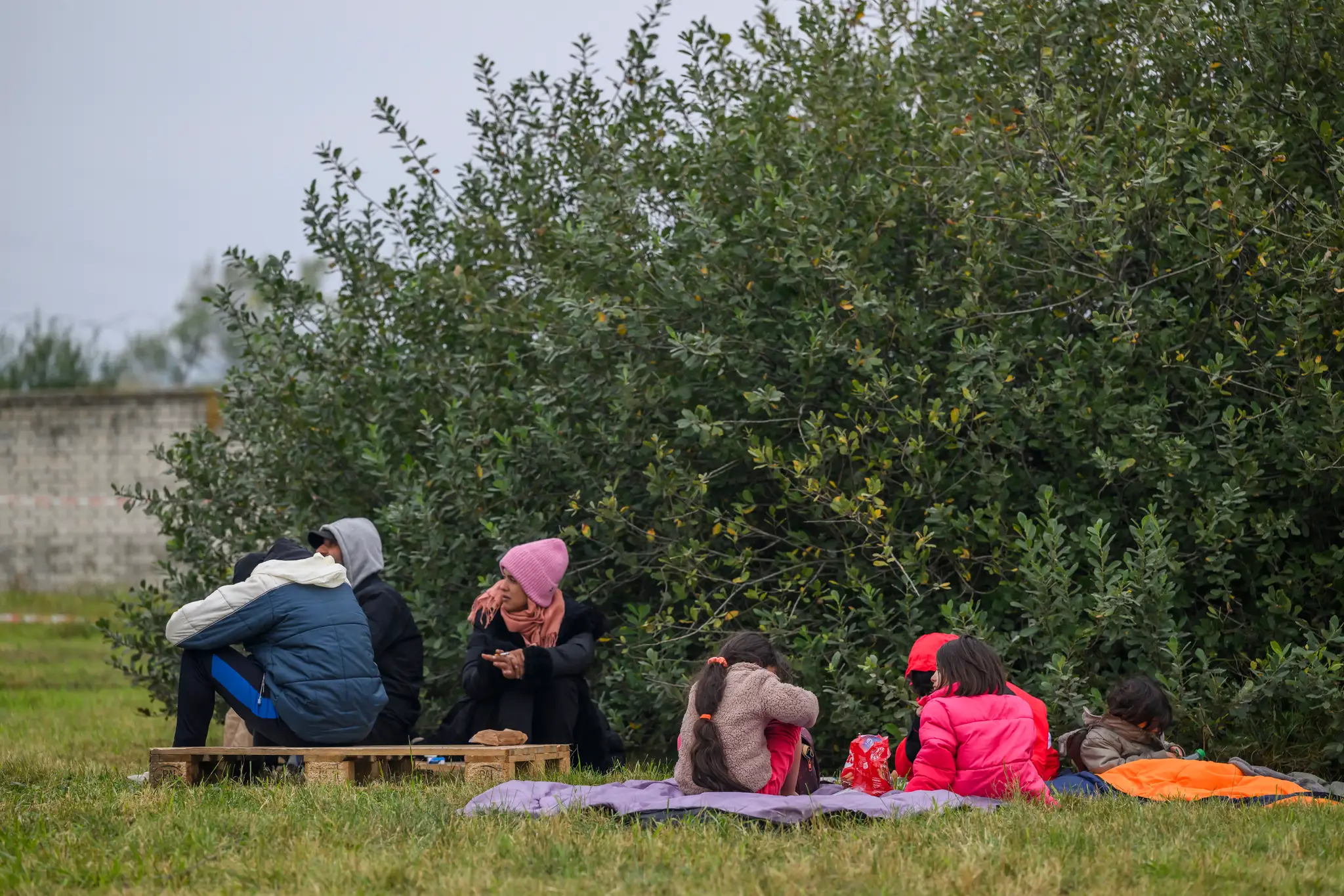 Migranti