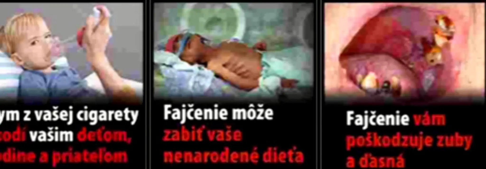 faj2.jpg