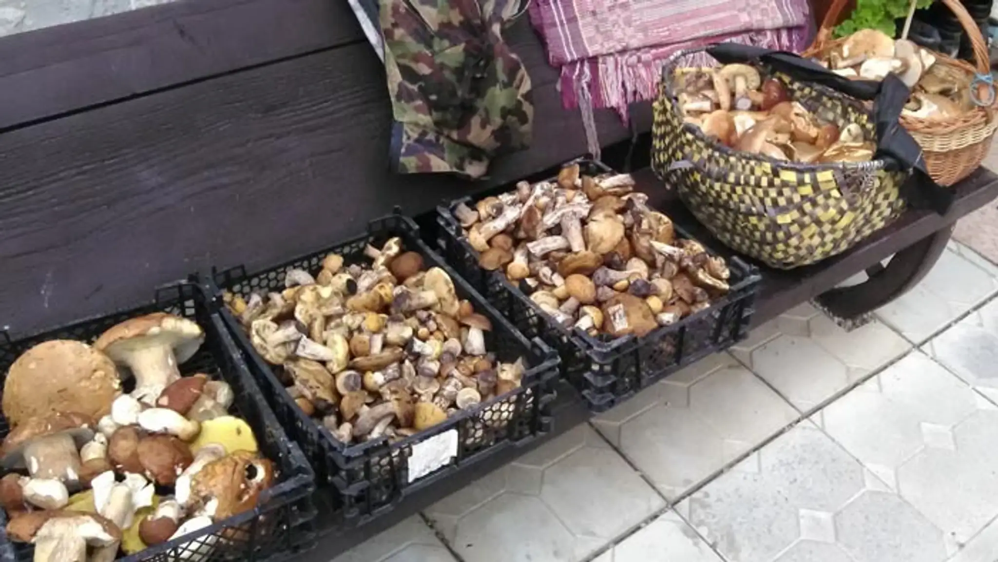 Mega úlovok z východného Slovenska.