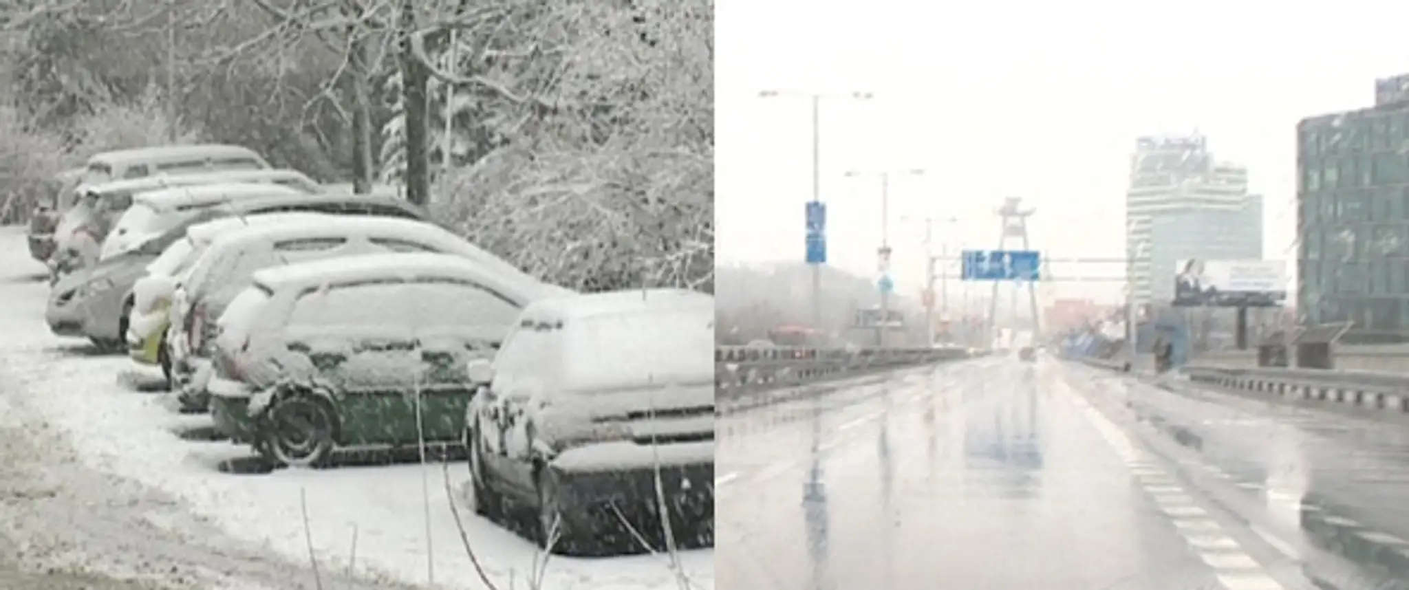 kolaz_edited-1.jpg