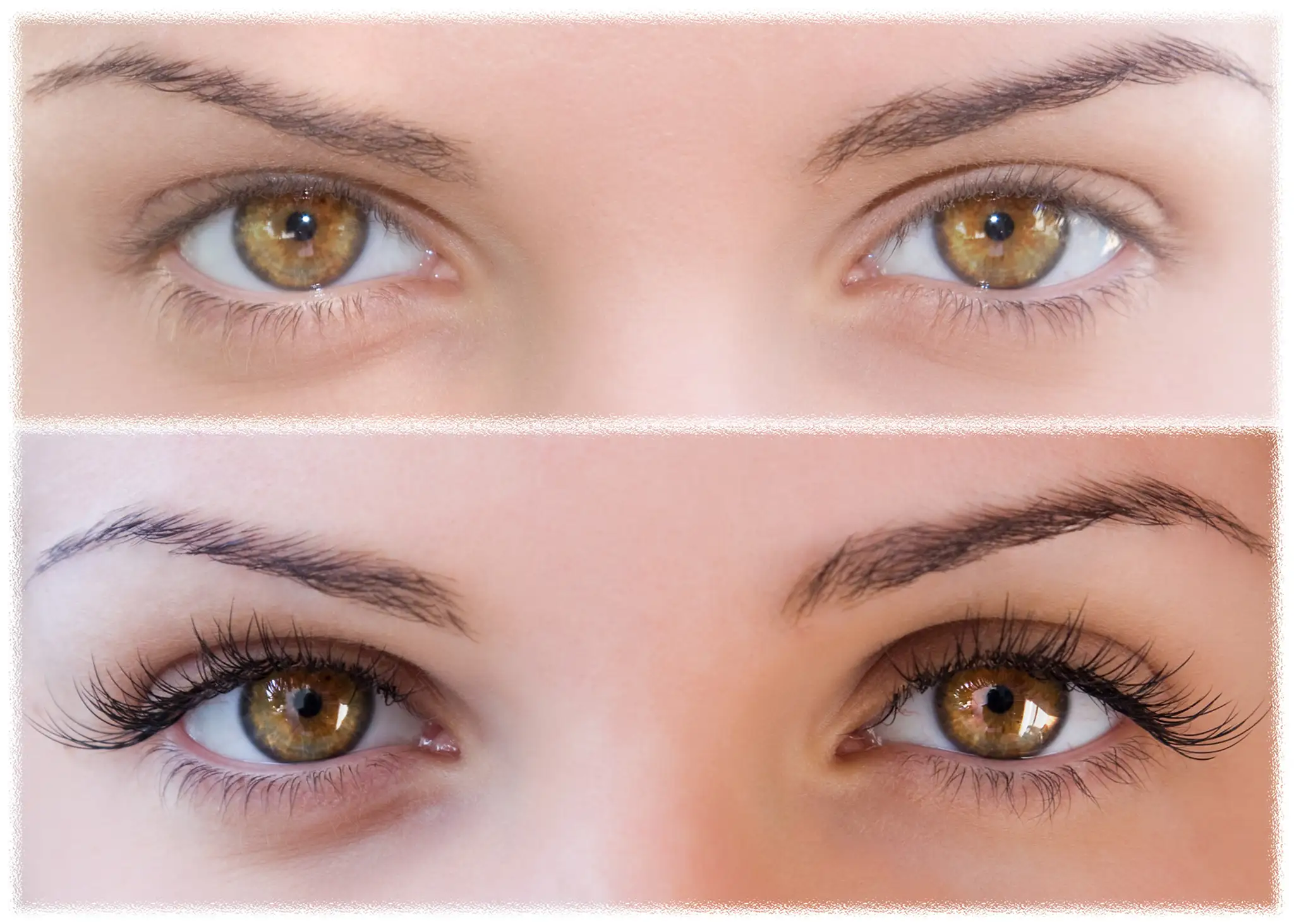 shutterstock_38397877.jpg