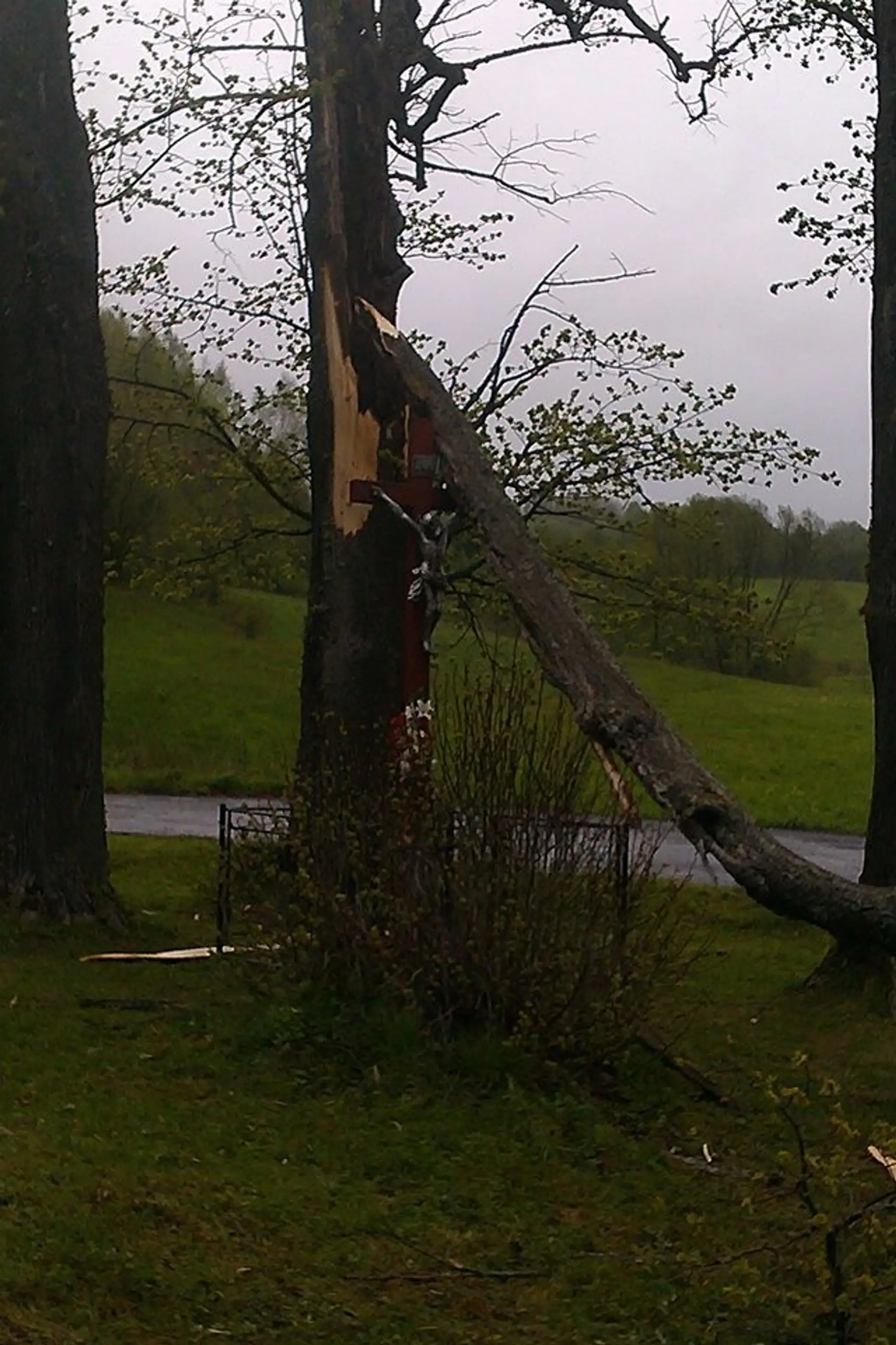 Spadnutý strom na kríž