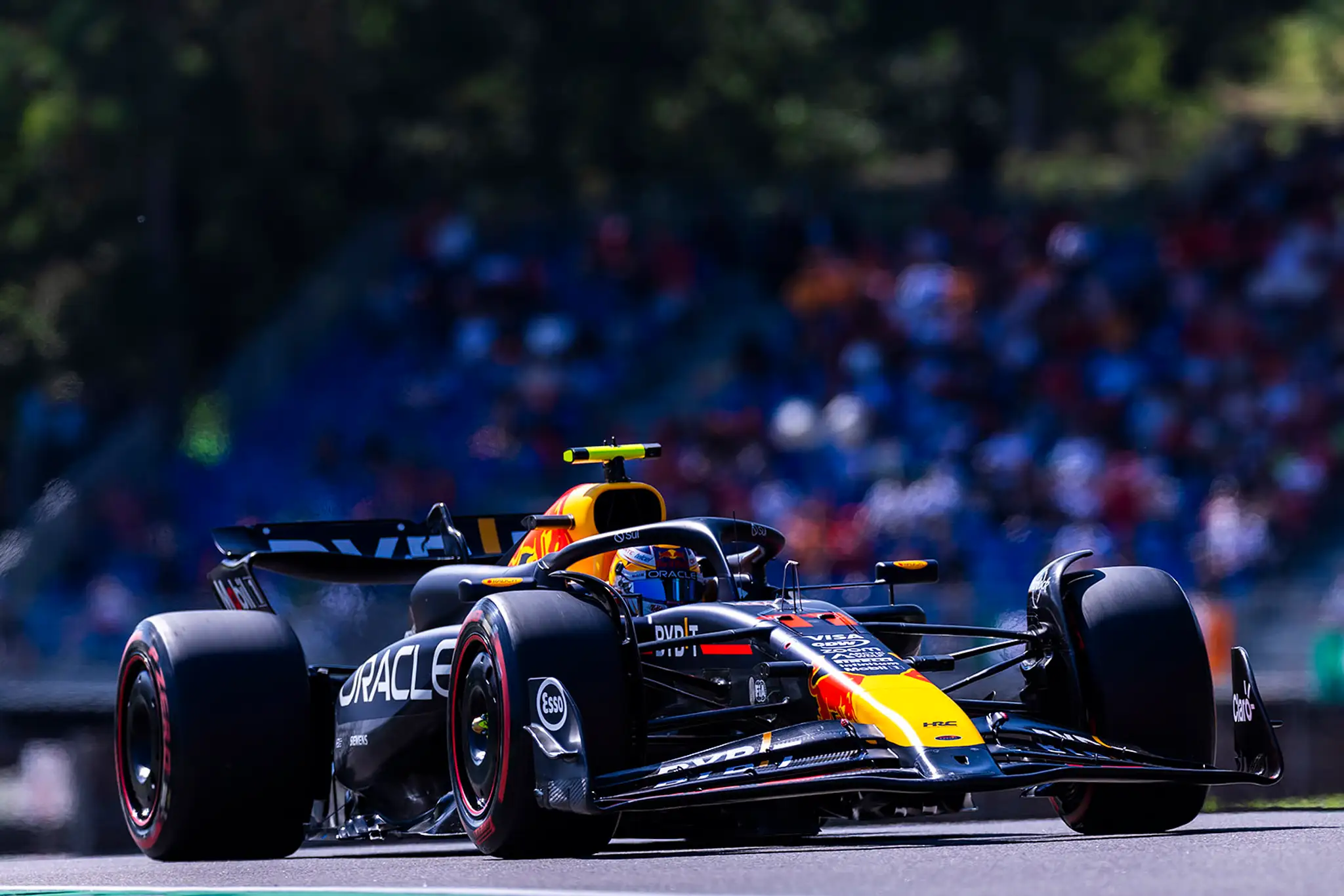 Sergio Perez na Red Bulle.
