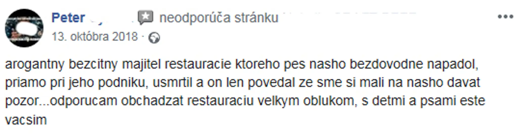 Slovenská fanúšička pózuje pred zápasom s Fínskom na MS 2019.