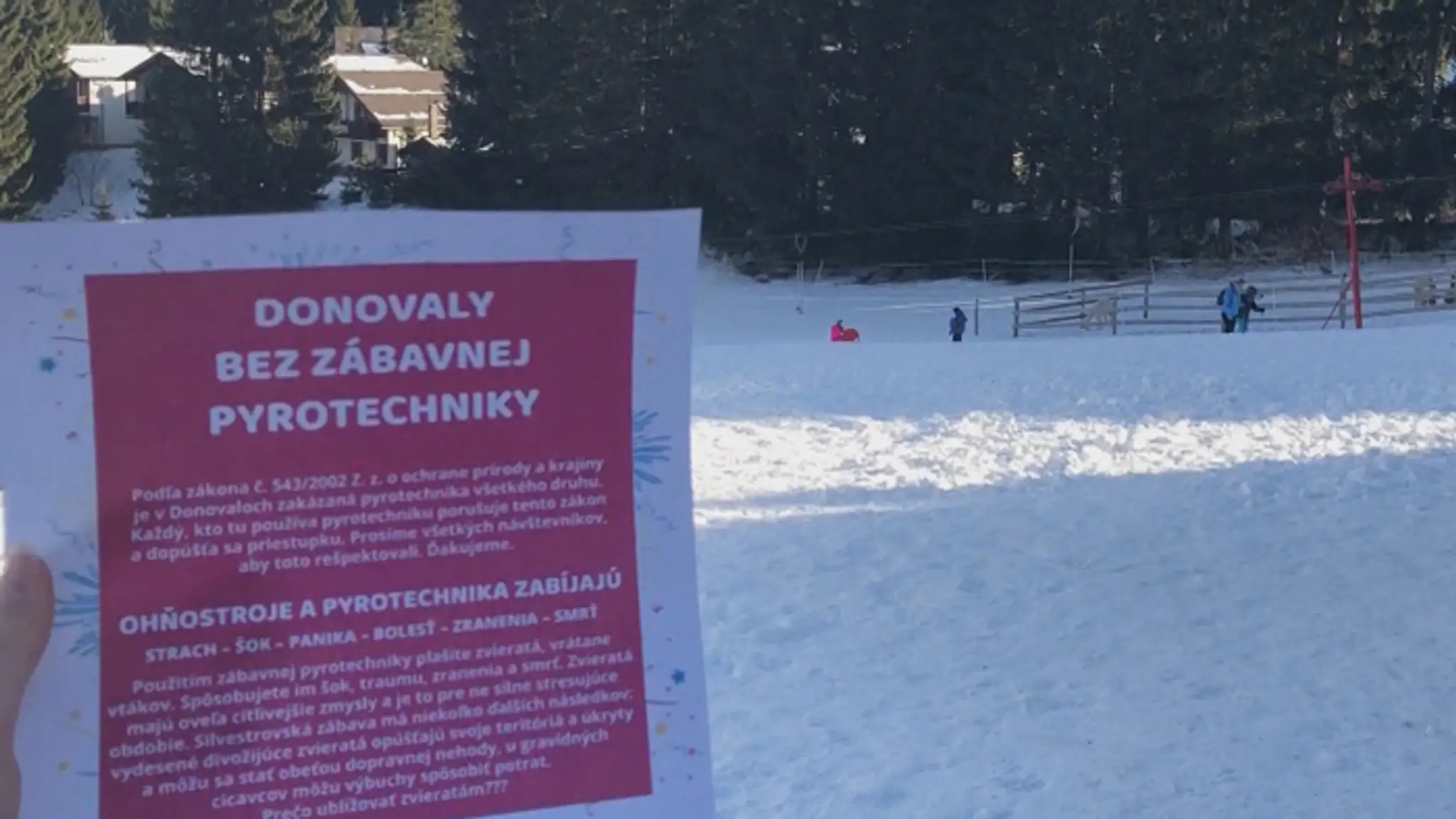 Ohňostroj na Donovaloch.