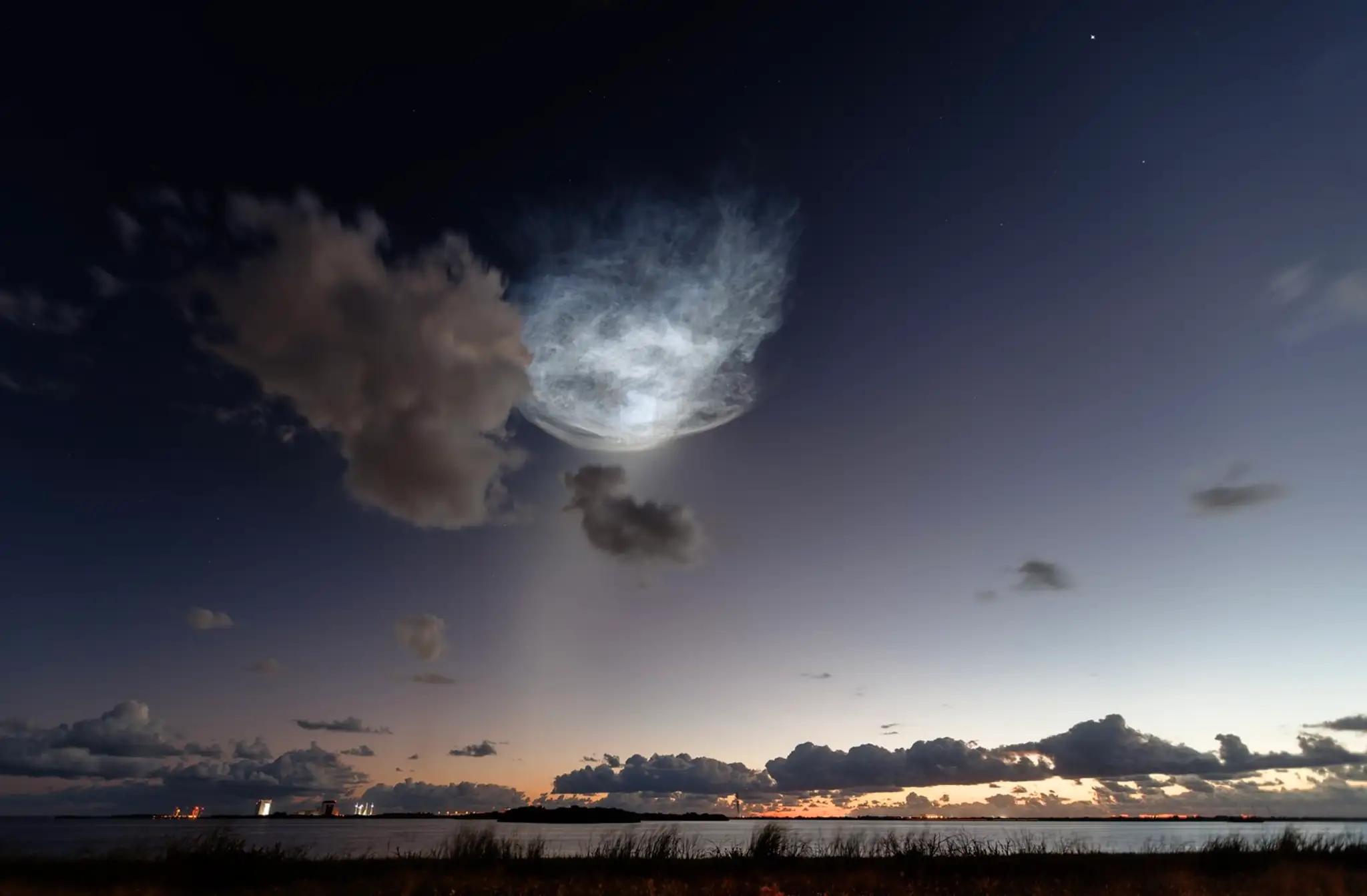 SpaceX jellyfish (1)
