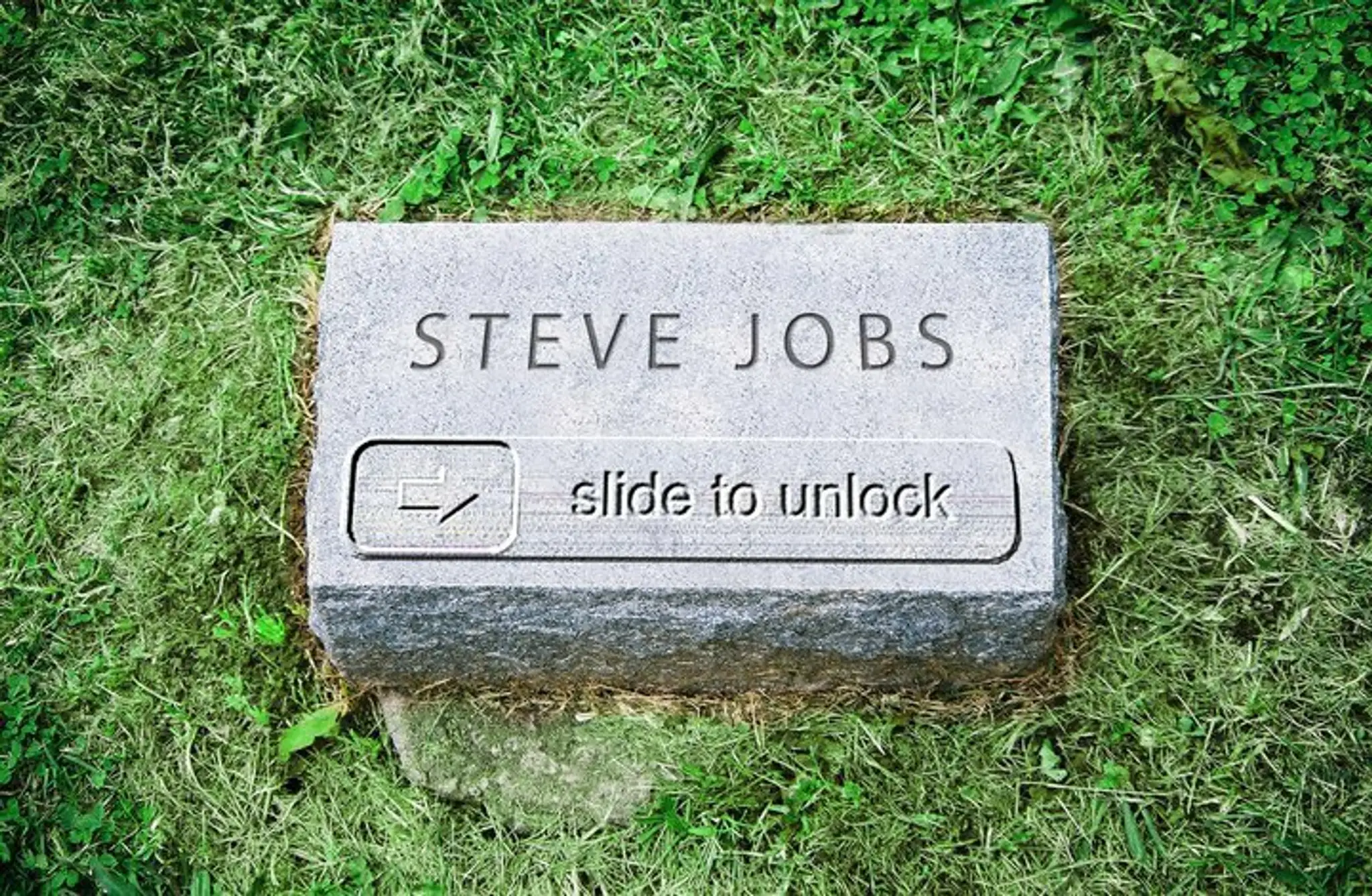 steve_63433c_2698601.jpg