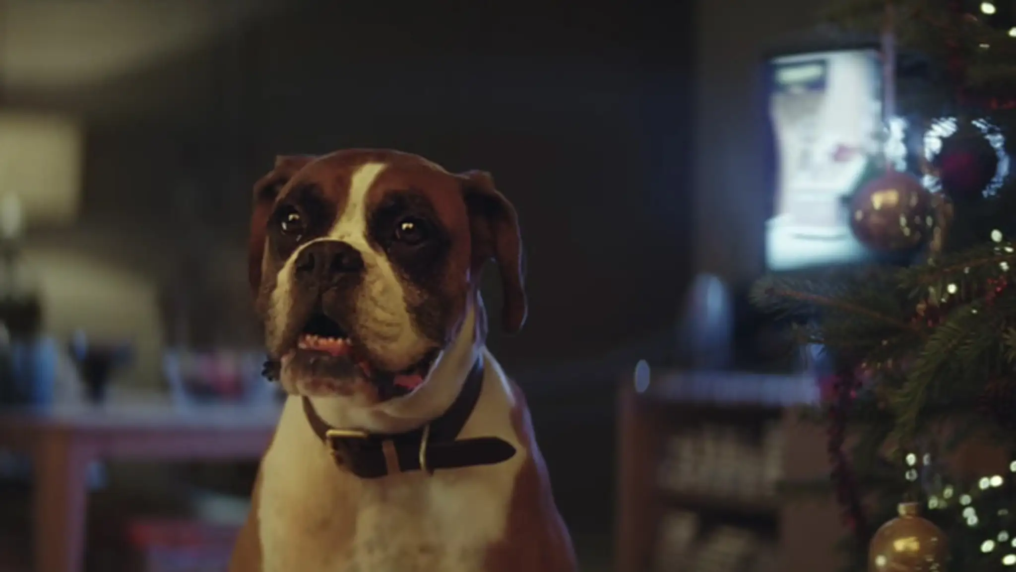 Boxer Buster vo vianočnej reklame.