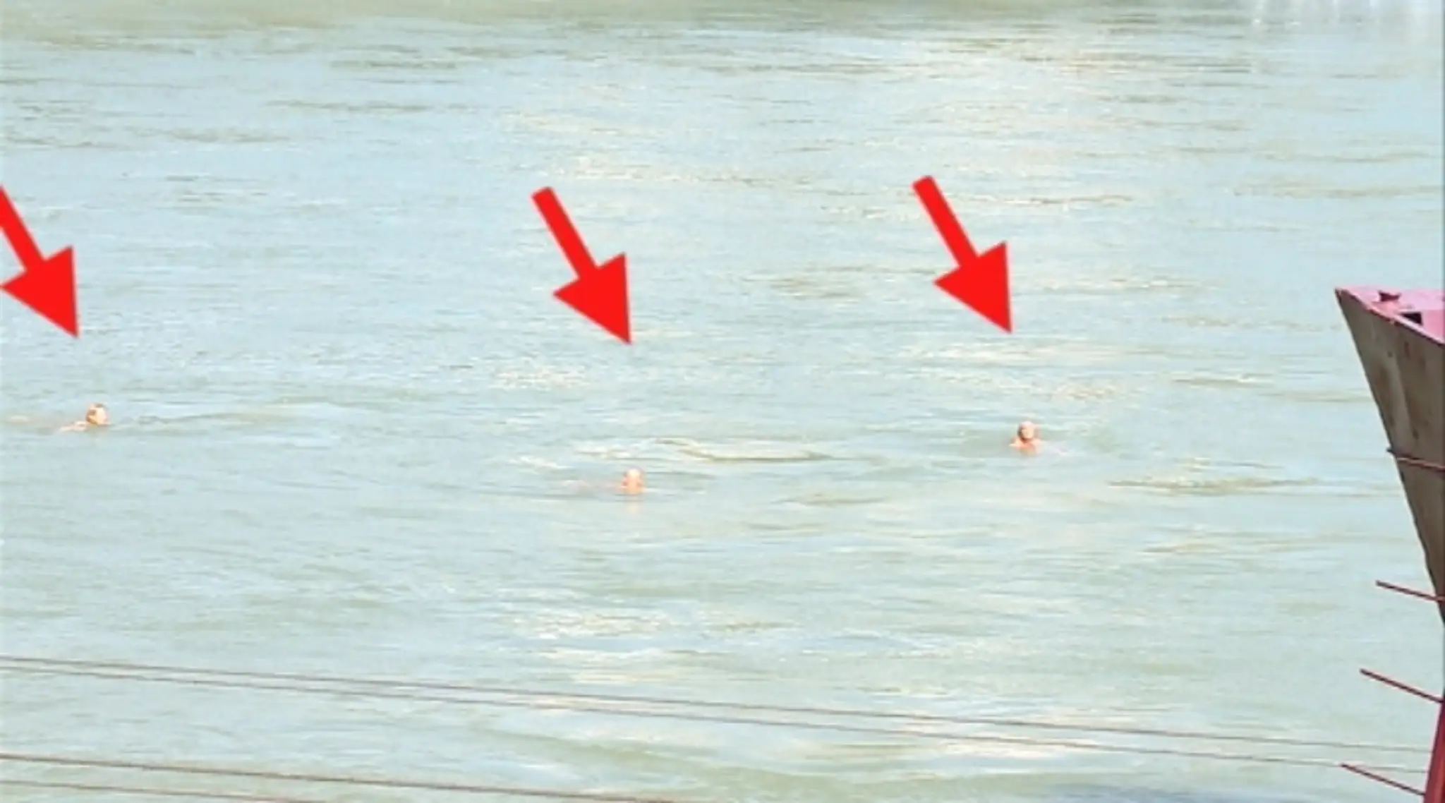 19 Kupali sa v Dunaji.transferweb_jpg_bez_watermarku_1.jpg
