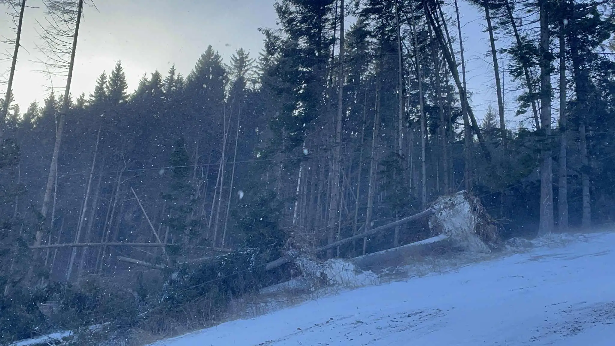 Silný vietor napáchal škody v SKI Resorte Smrečiny.