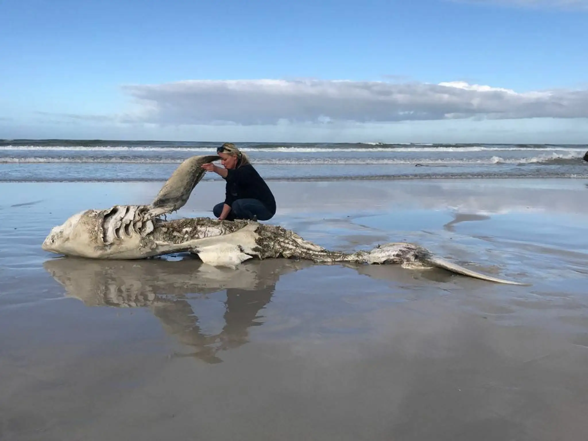 Pacient hrá na husliach.