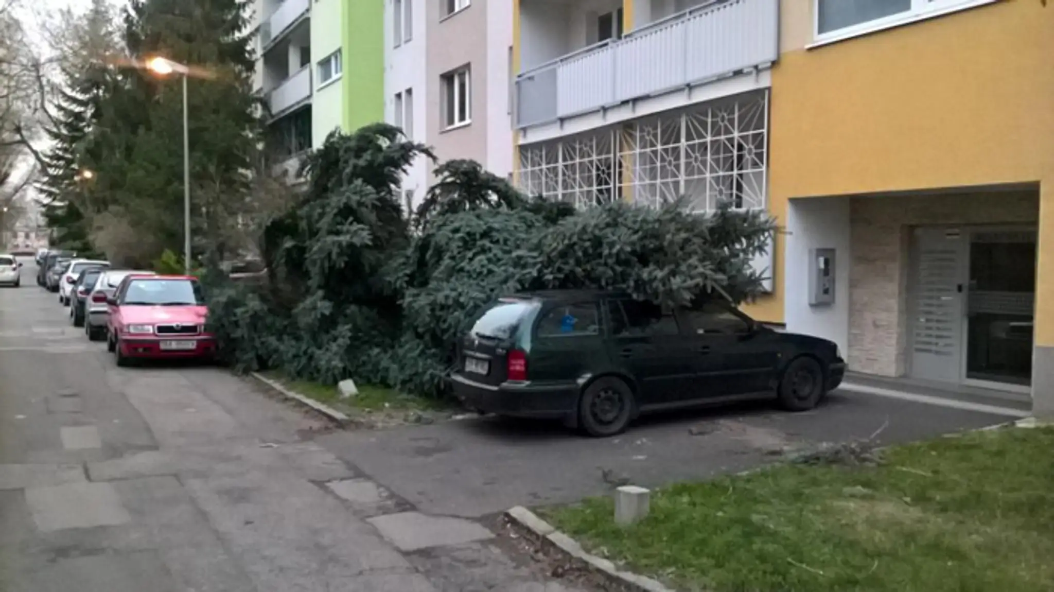Spadnutý stom na Mesačnej ulici v Bratislave.