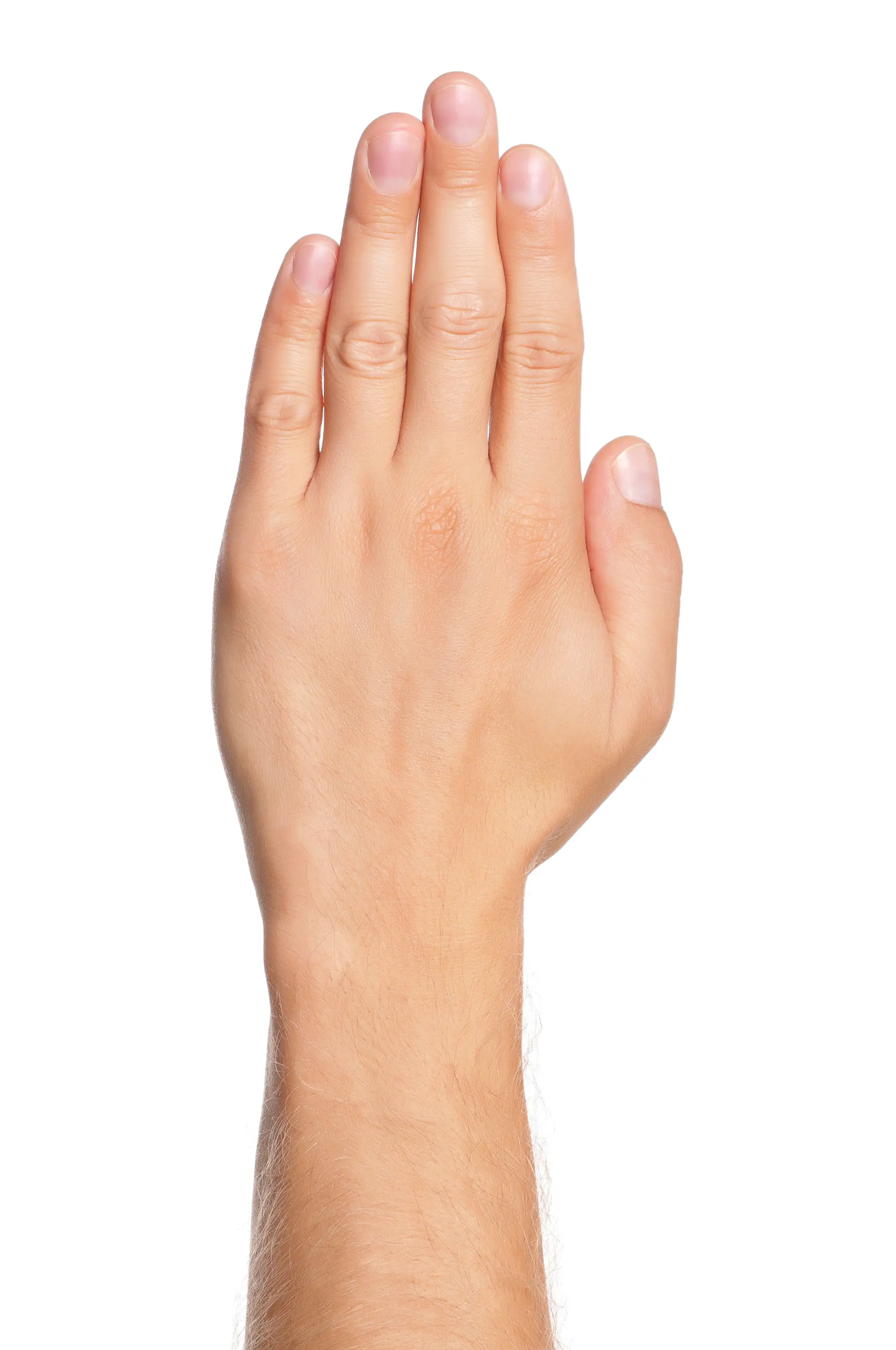 shutterstock_113801824.jpg