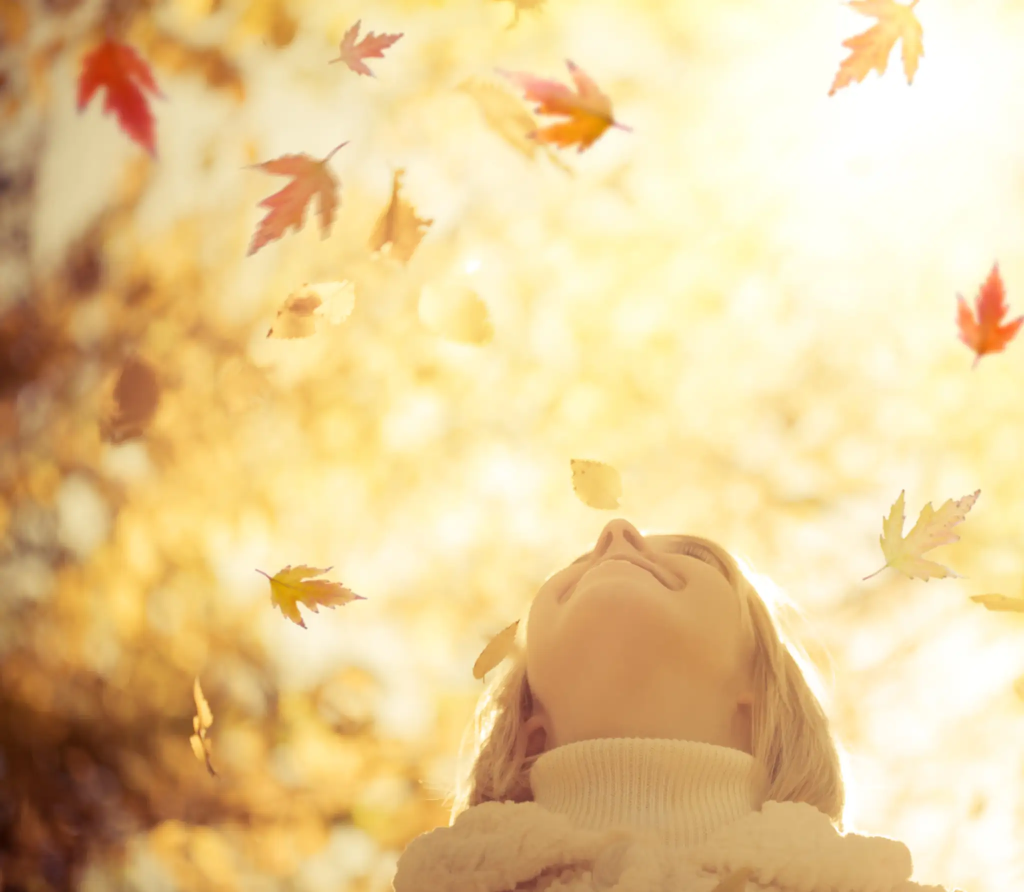shutterstock_151779557.jpg