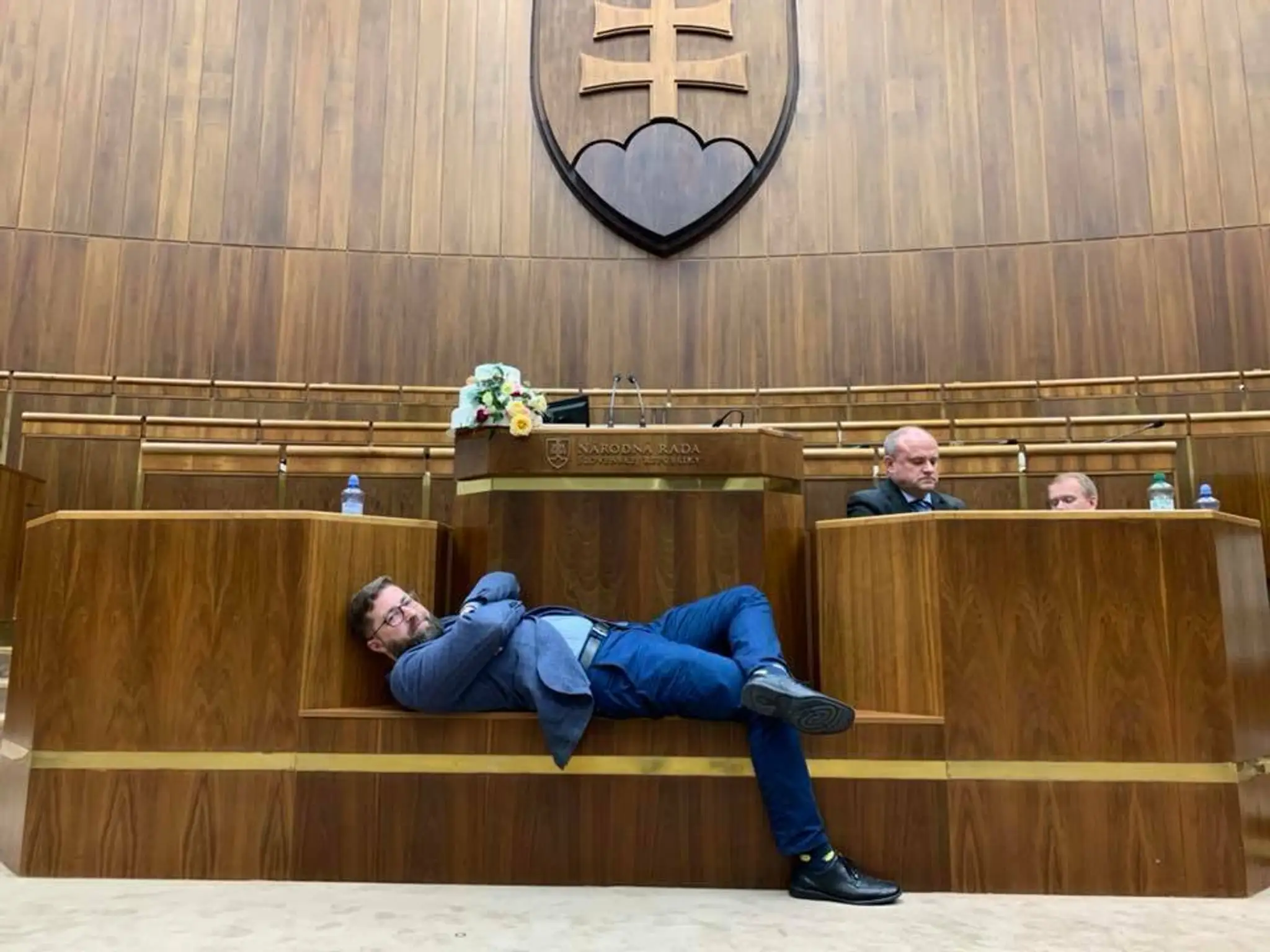 Dve krabice plné šteniat neapolského mastiffa. 
