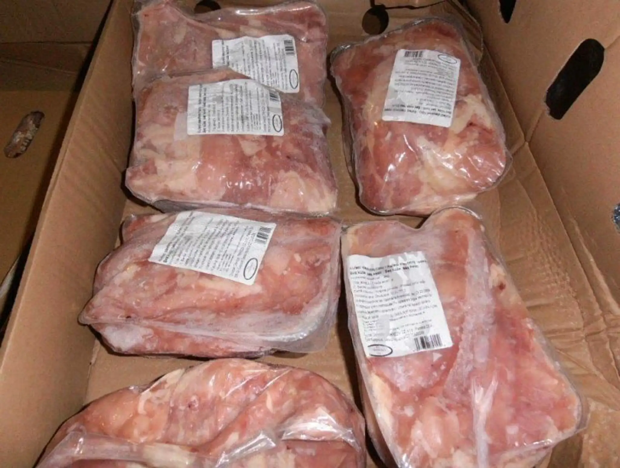 kuracie_Salmonella_2015_01.jpg
